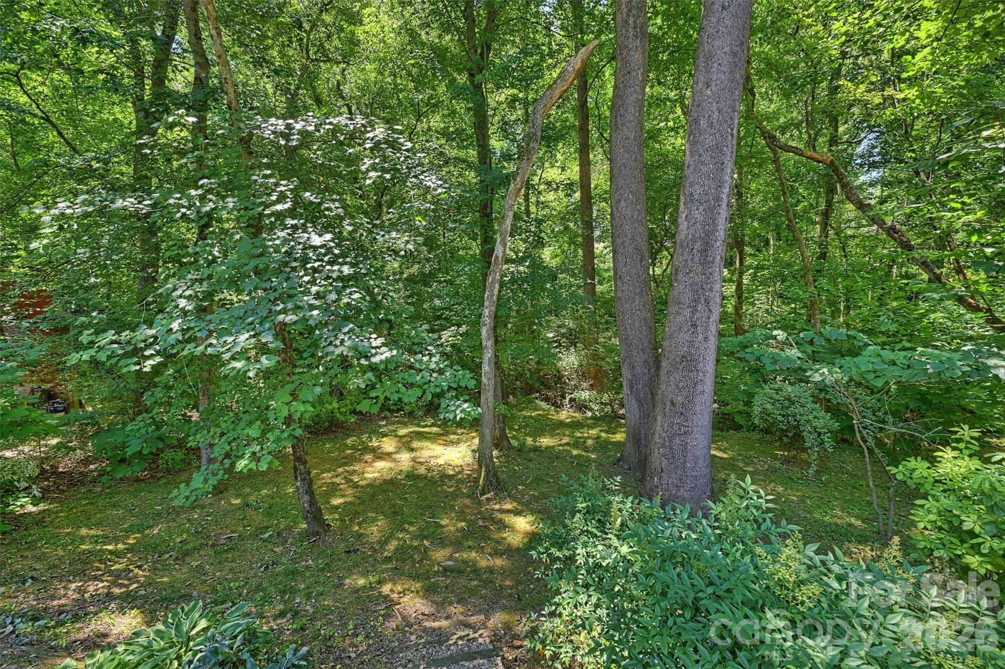 17237 Grand Central Way Property Photo 34