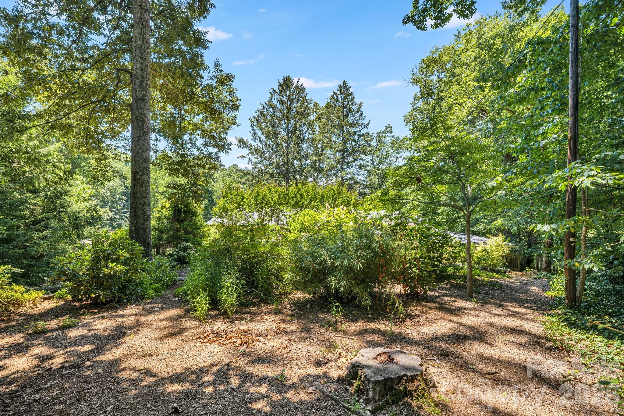 78 Grovewood Road Property Photo 39