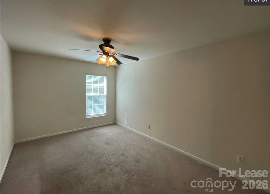 11142 Cypress View Drive Property Photo 12