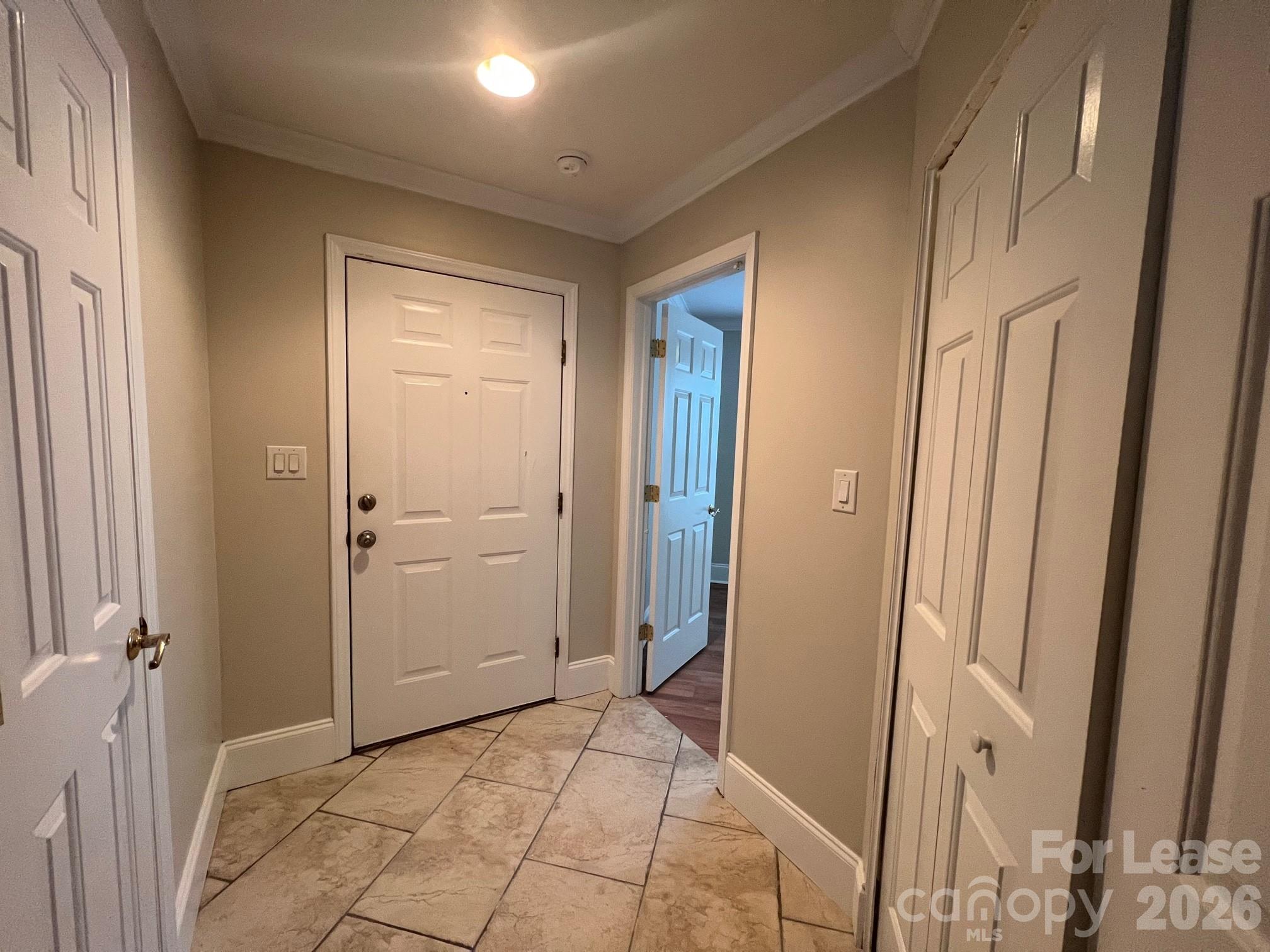 18733 Vineyard Point Lane Property Photo 4