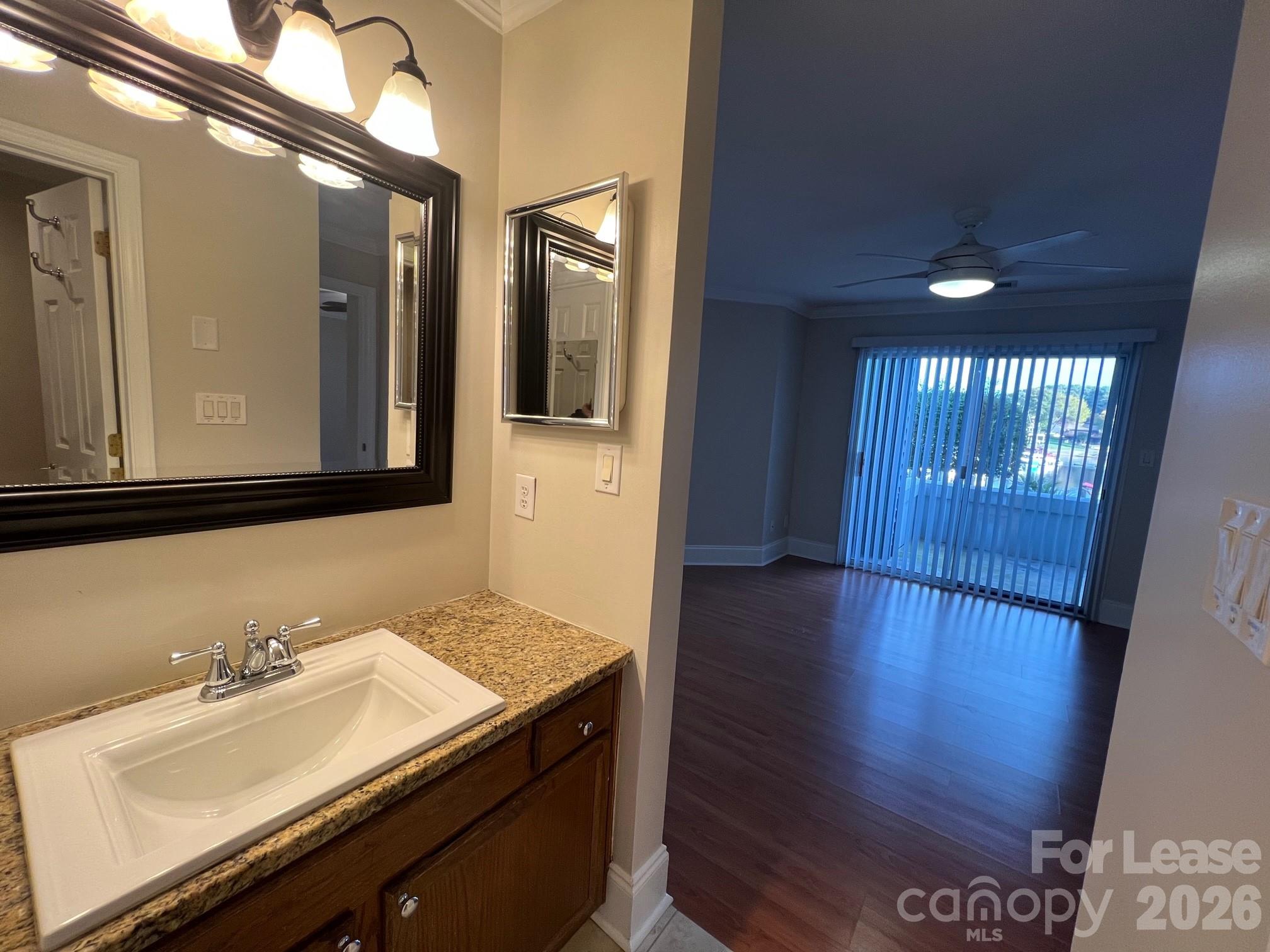 18733 Vineyard Point Lane Property Photo 21