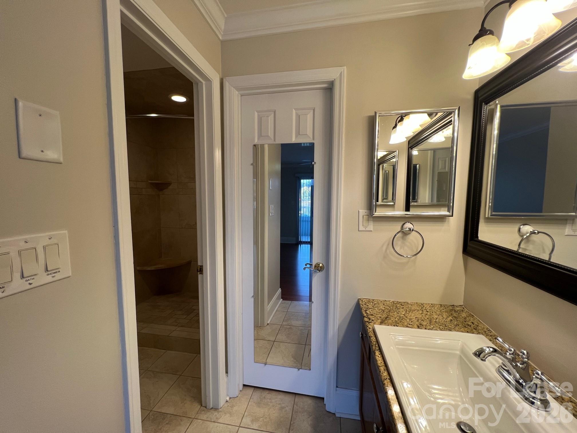18733 Vineyard Point Lane Property Photo 22