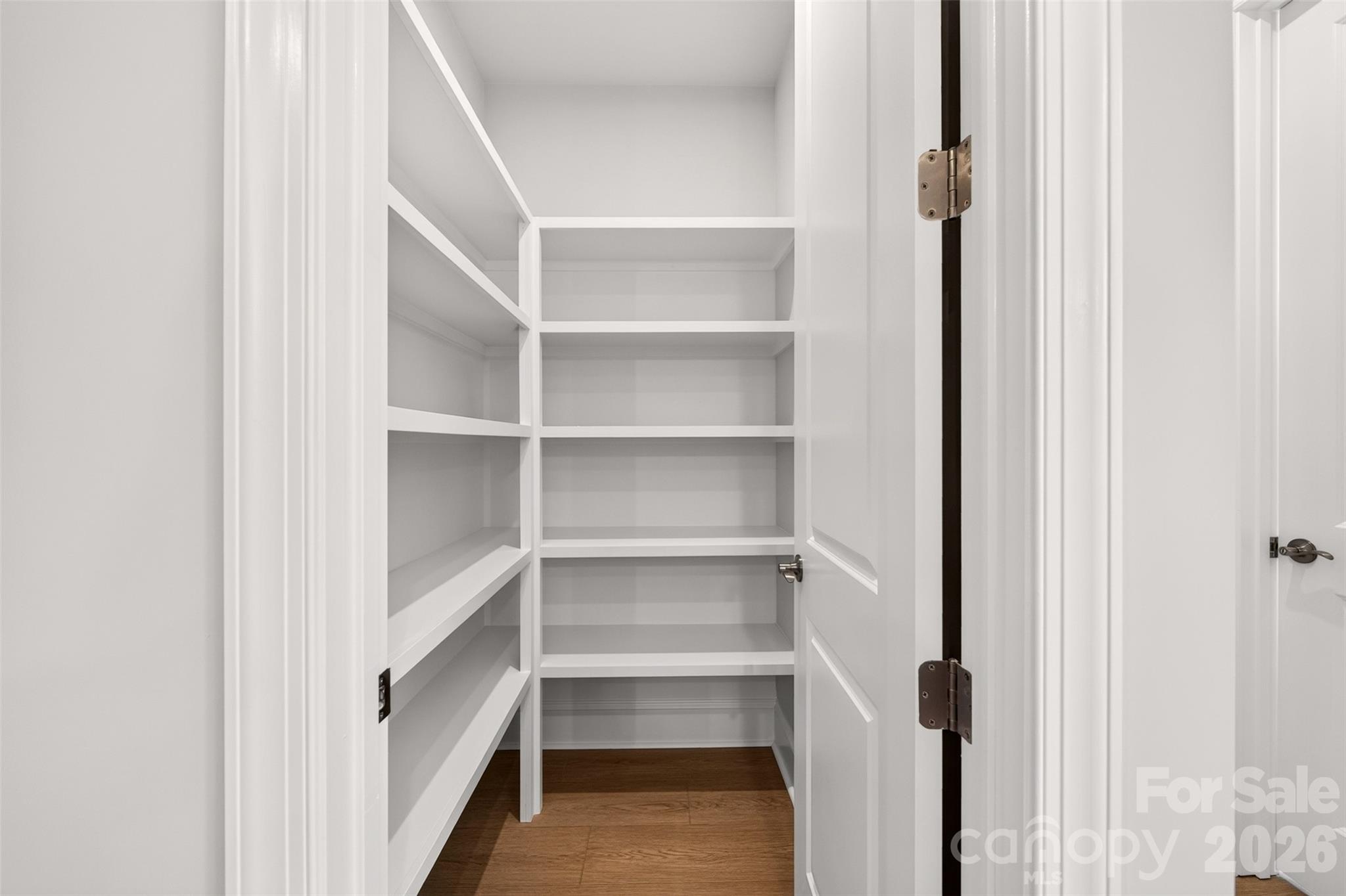 6008 Yellow Buckeye Drive Property Photo 19