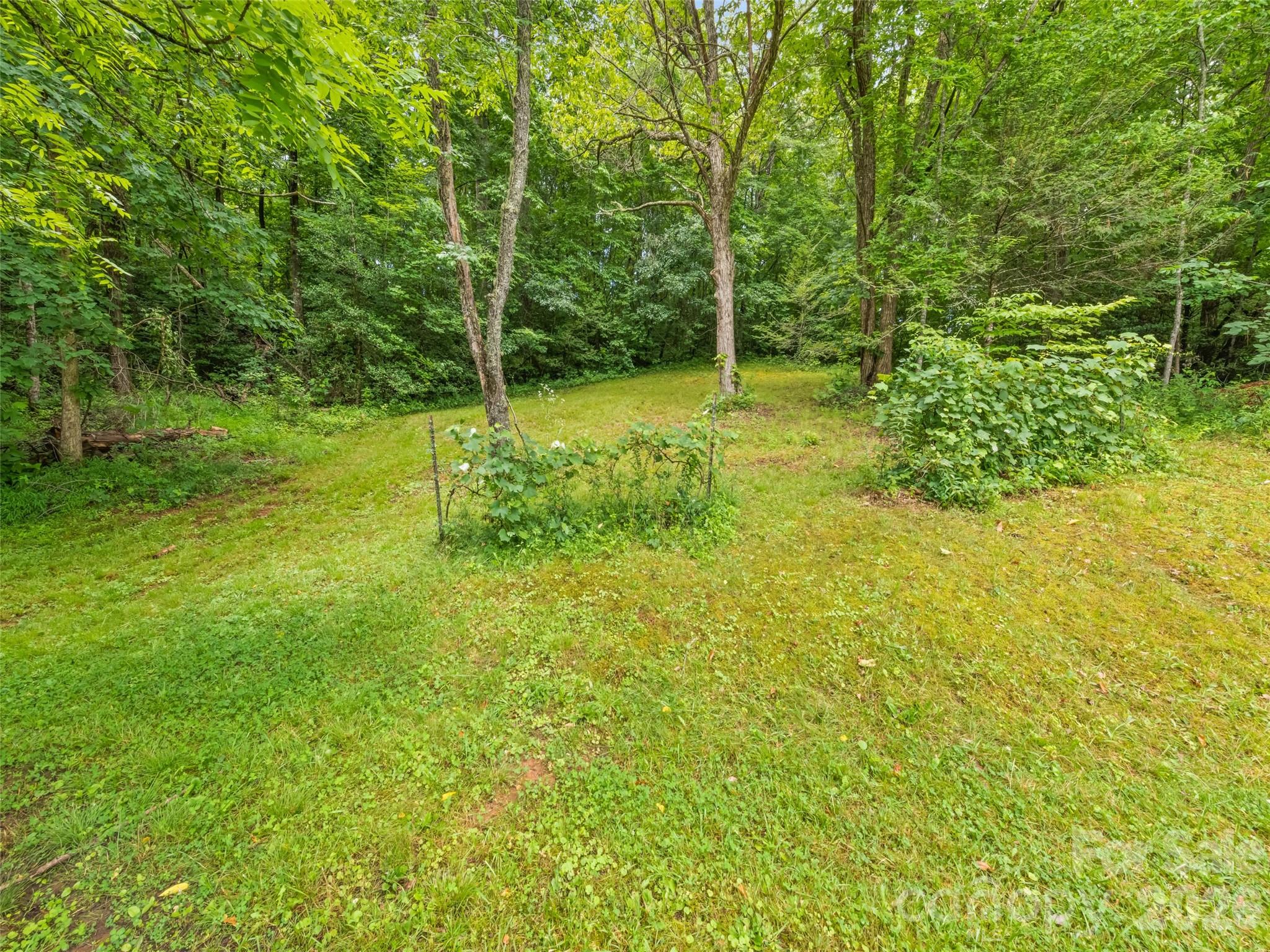 586 Olivet Church Road Property Photo 8