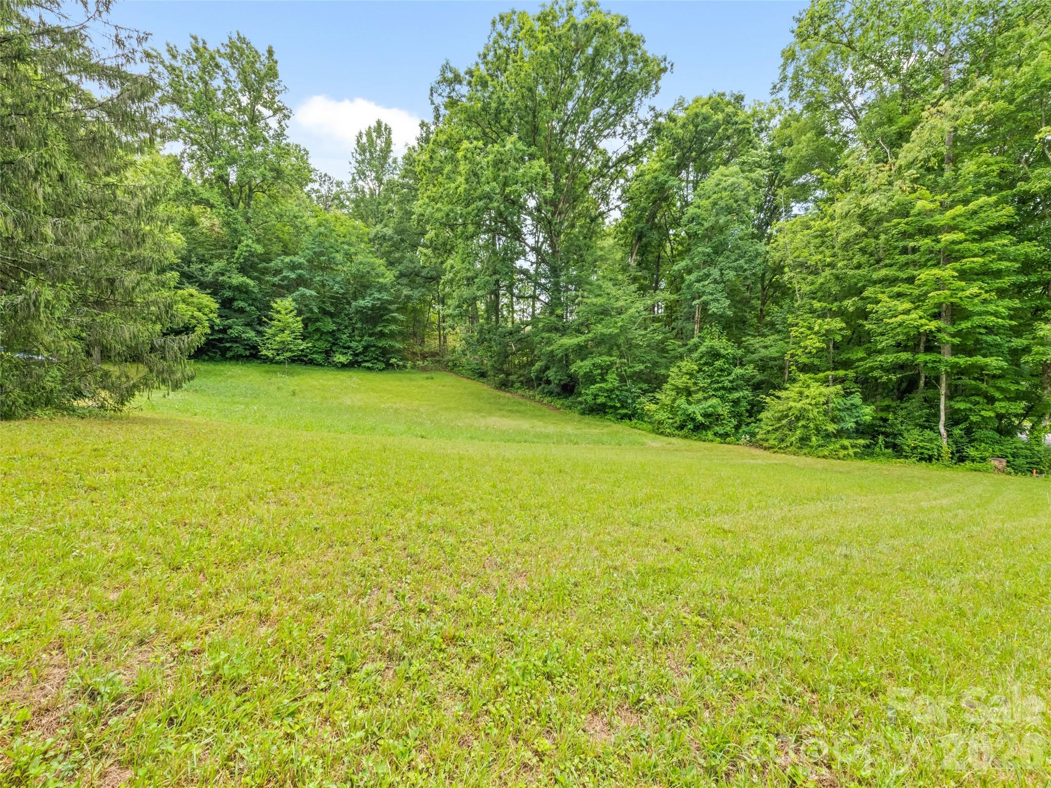 586 Olivet Church Road Property Photo 11