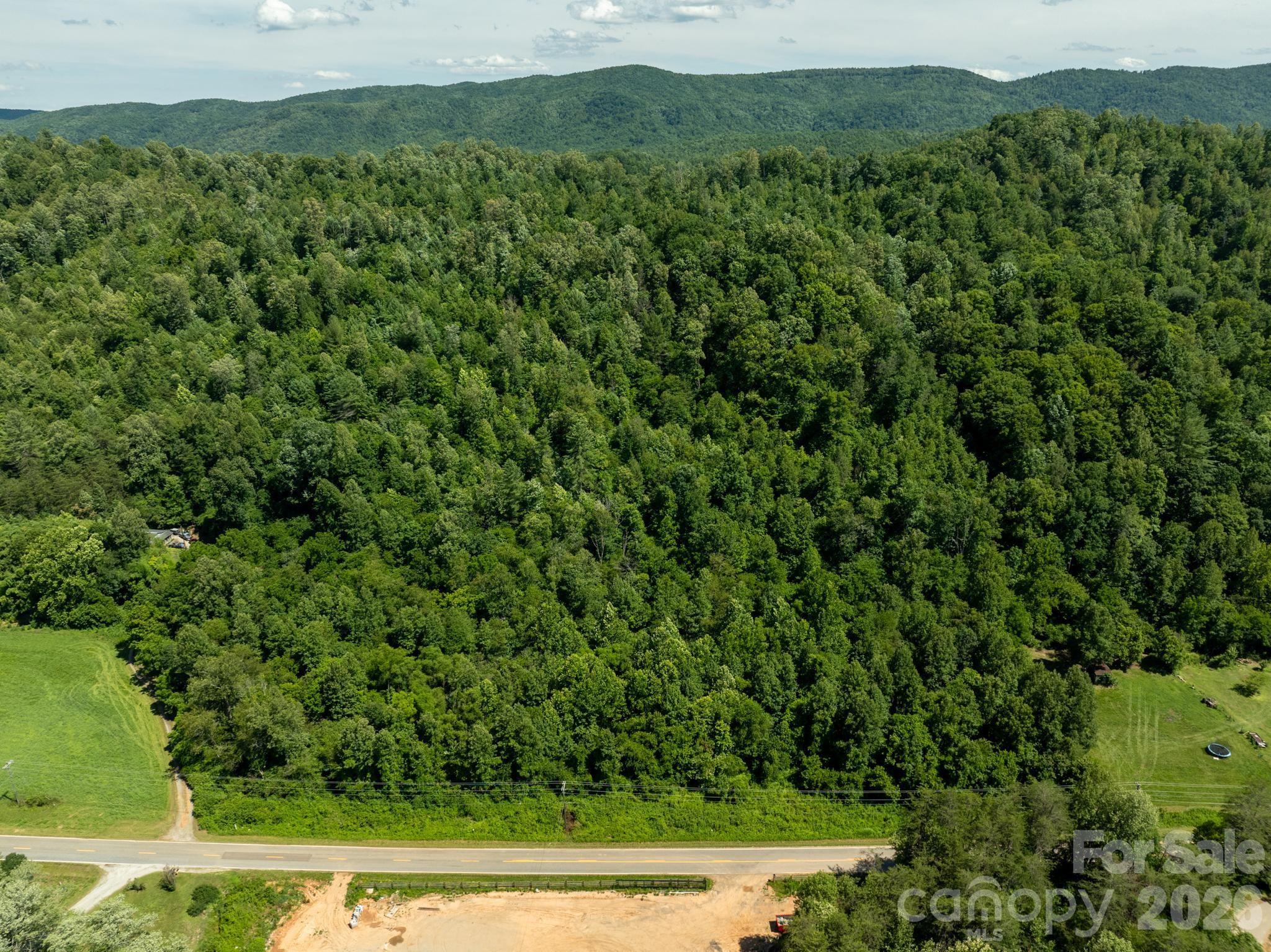 Tbd Blue Creek Road Property Photo 6