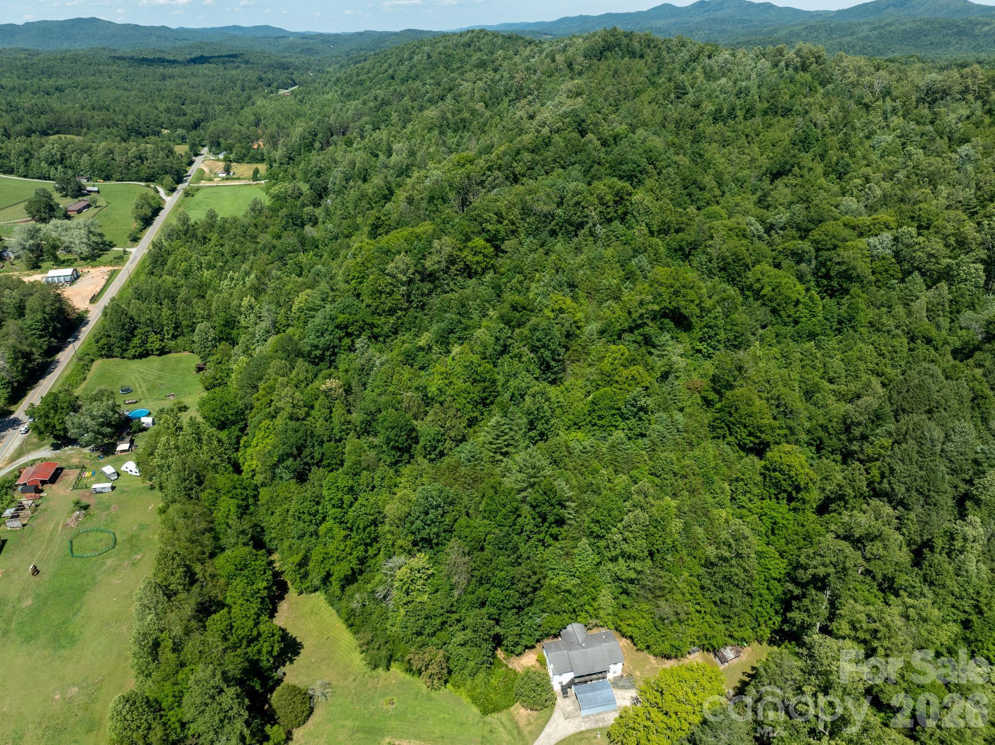 Tbd Blue Creek Road Property Photo 10