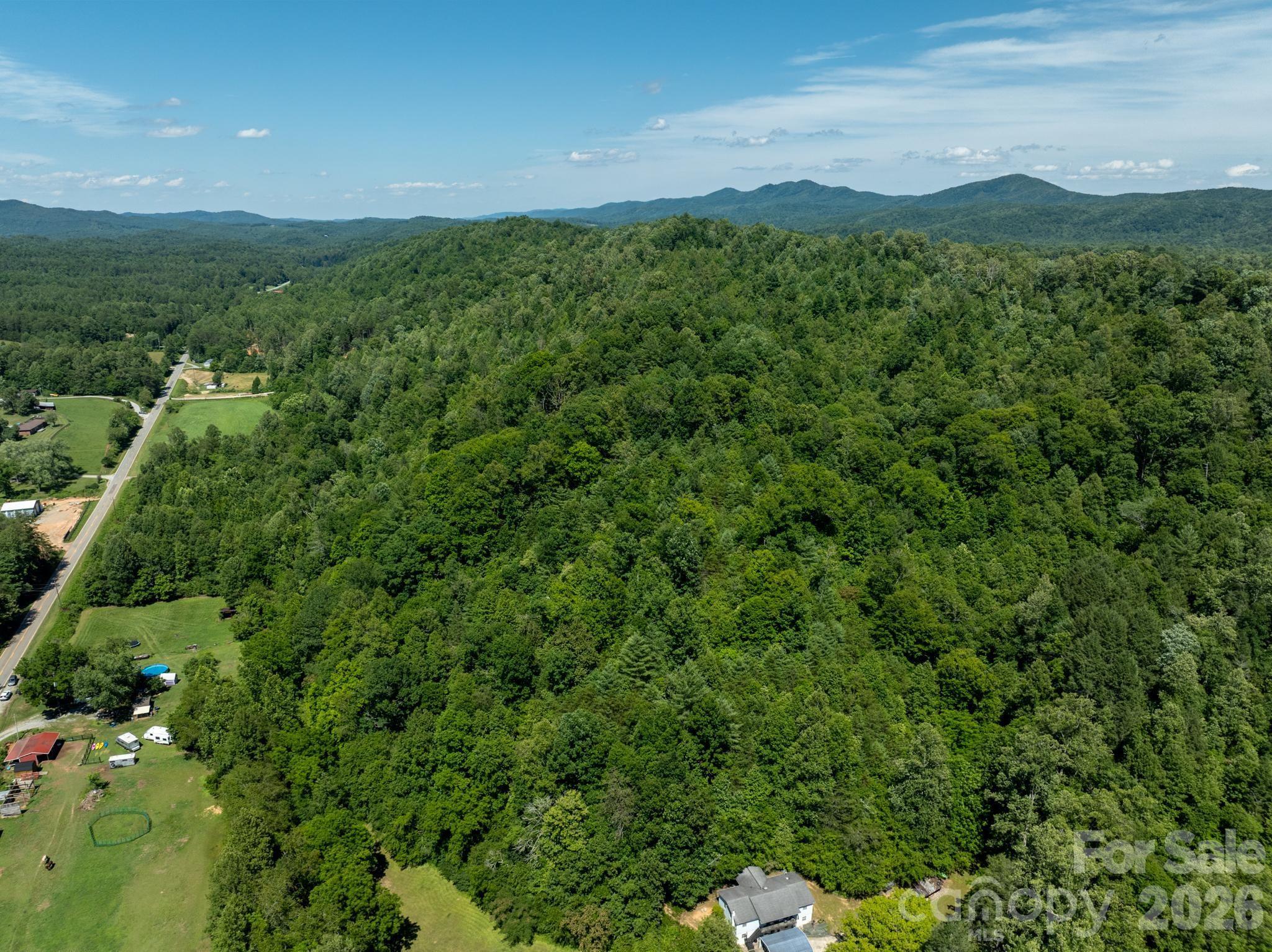 Tbd Blue Creek Road Property Photo 11