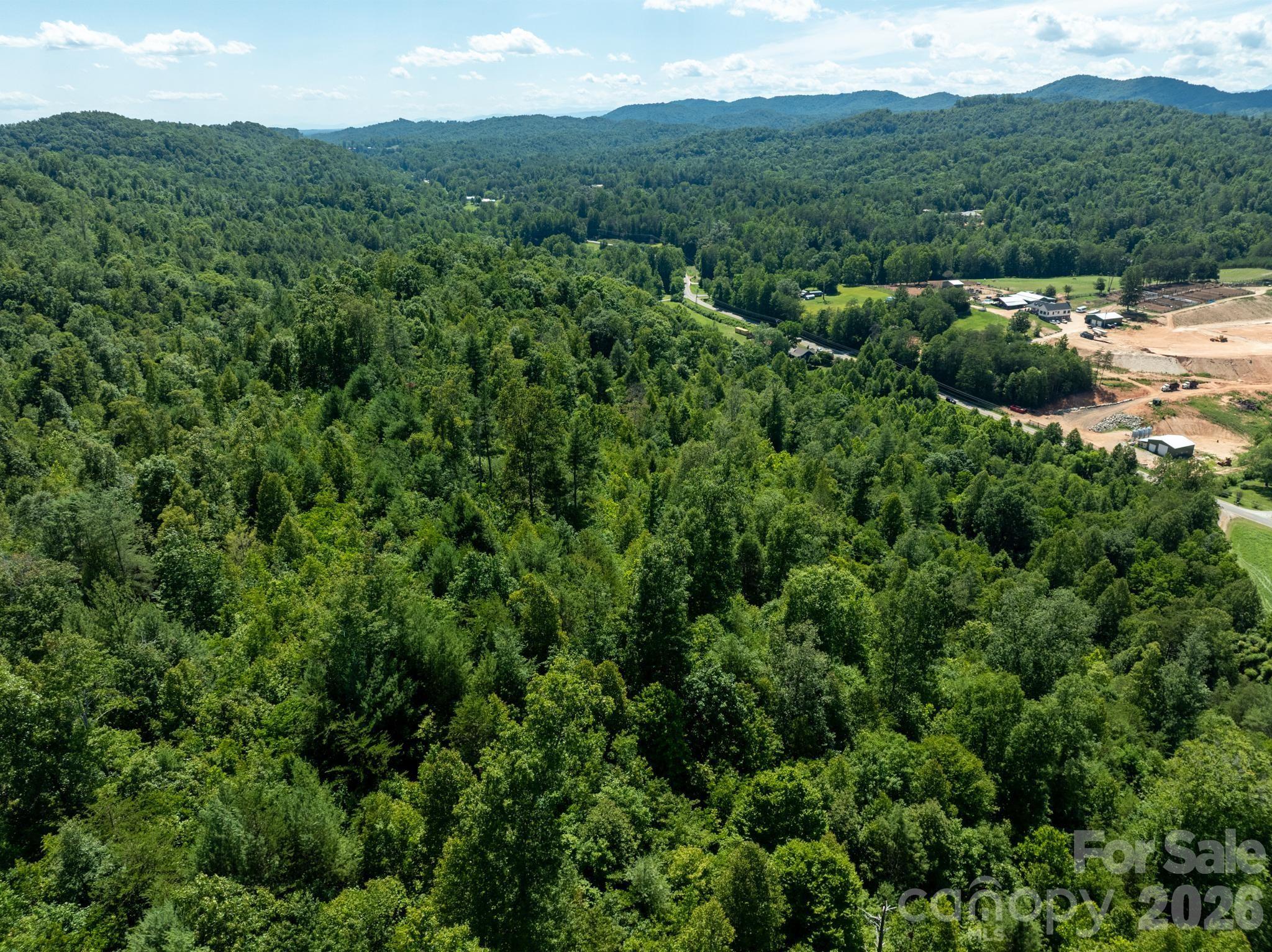 Tbd Blue Creek Road Property Photo 14