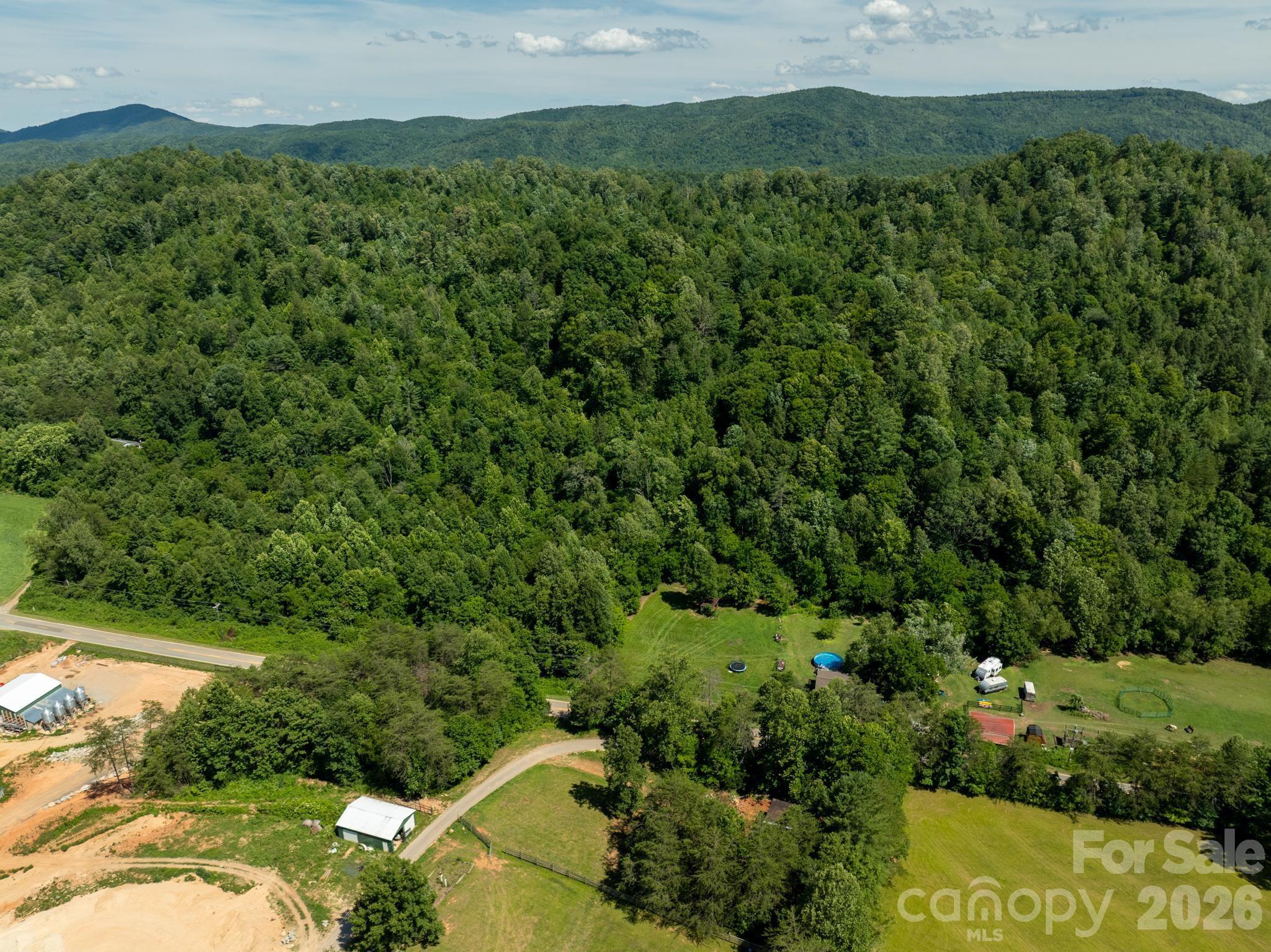 Tbd Blue Creek Road Property Photo 16