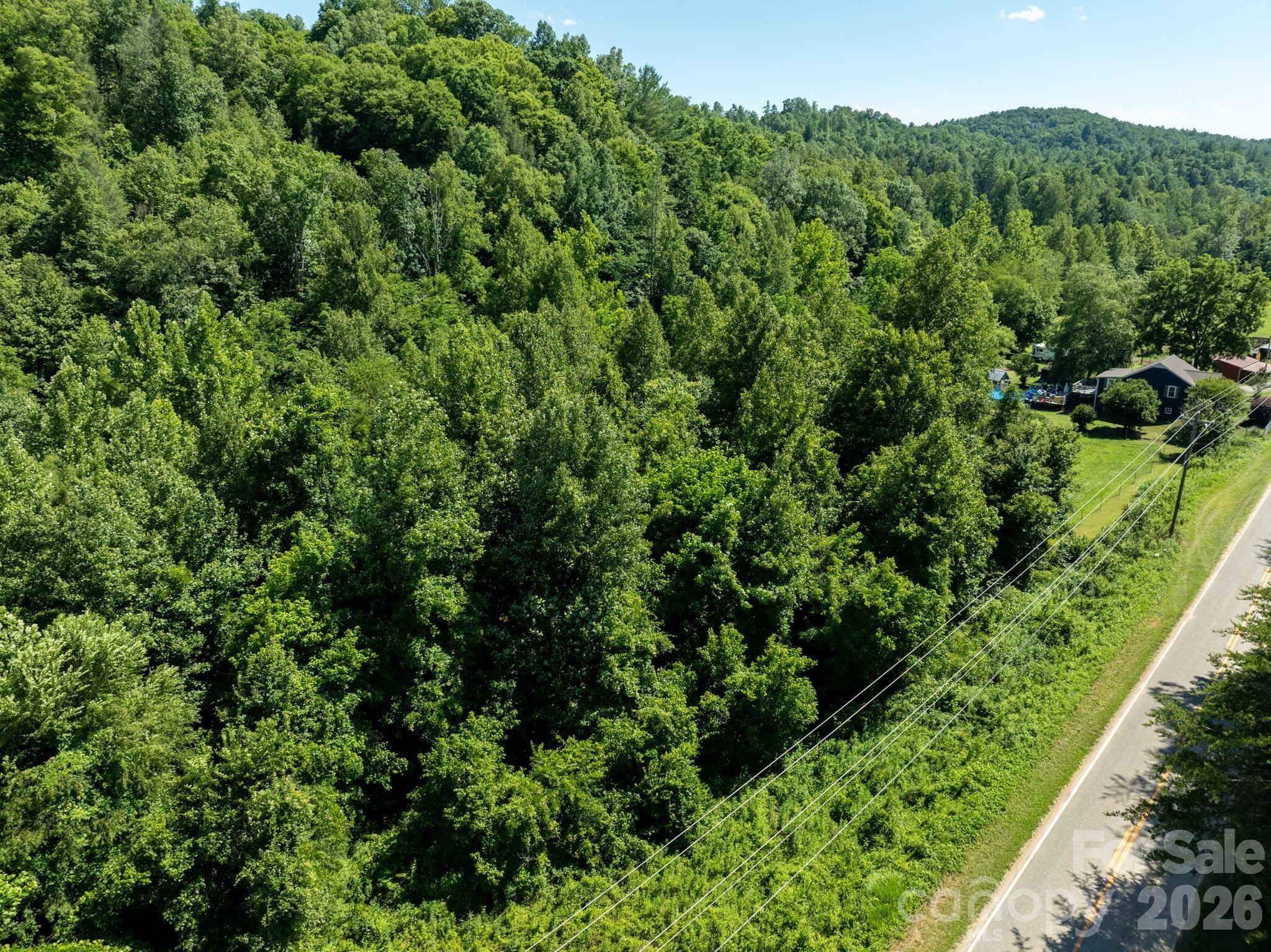 Tbd Blue Creek Road Property Photo 17
