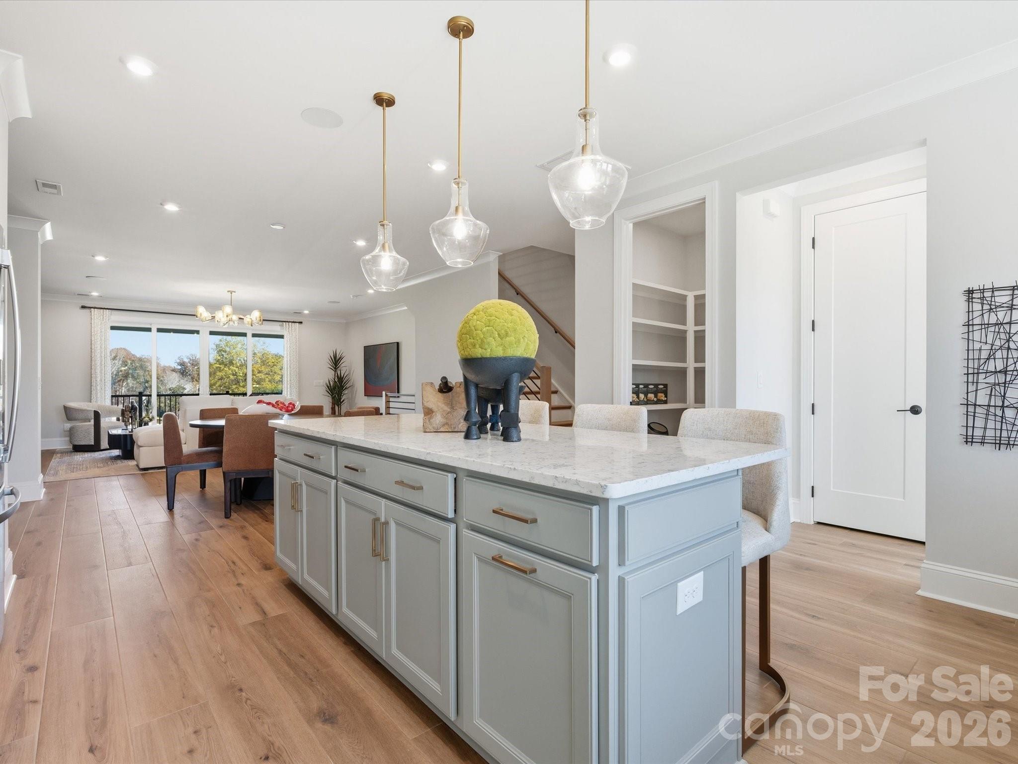 6009 Yellow Buckeye Drive Property Photo 16