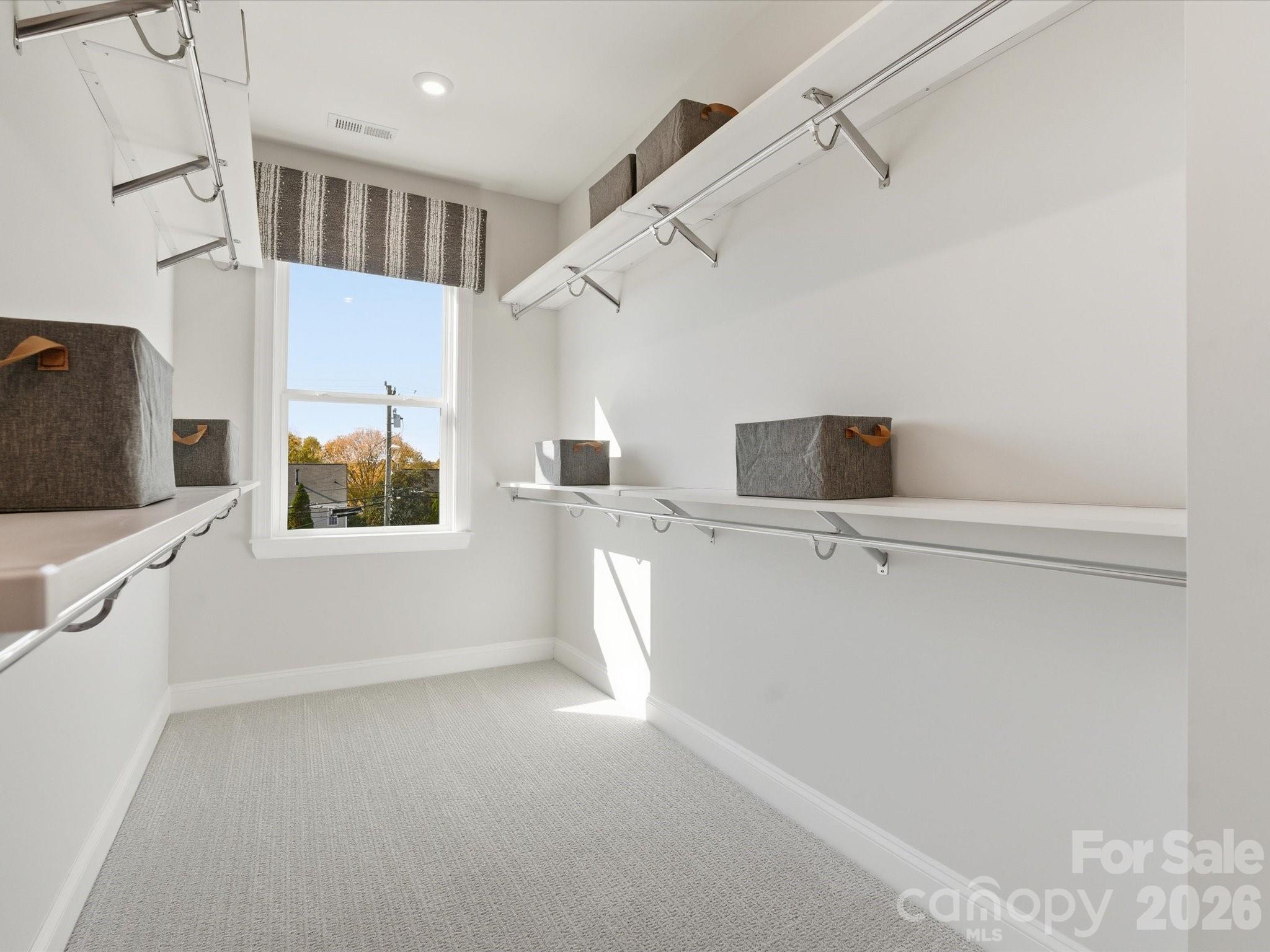 6009 Yellow Buckeye Drive Property Photo 26
