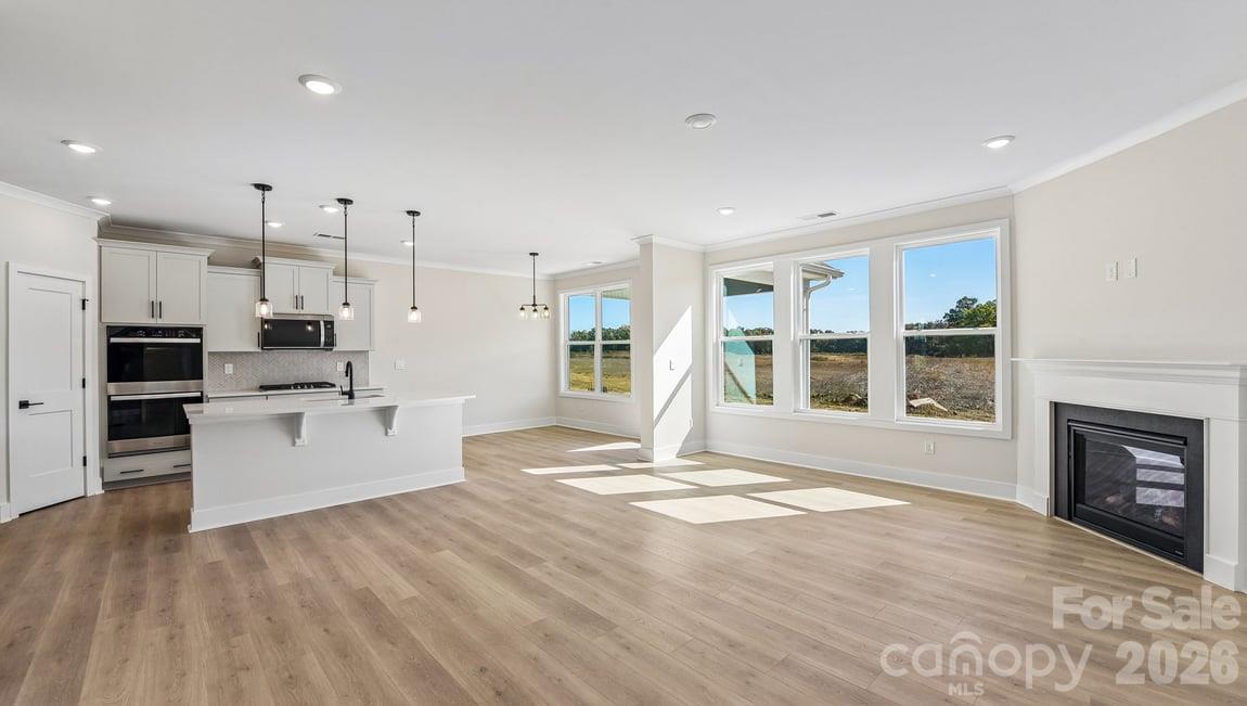 1040 Tundra Swan Drive Property Photo 6