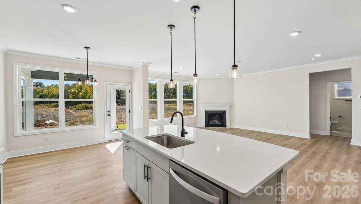 1040 Tundra Swan Drive Property Photo 13