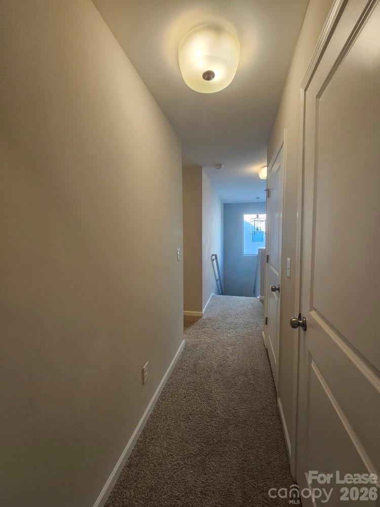 411 Copes Court Property Photo 17