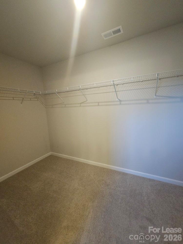 411 Copes Court Property Photo 22
