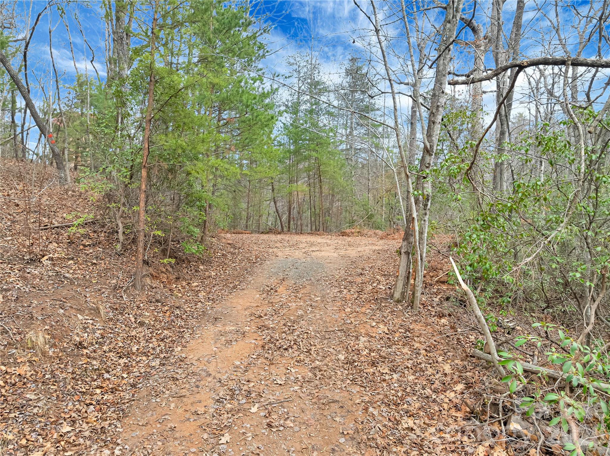 Tbd Deep Woods Lane 102 Property Photo 1