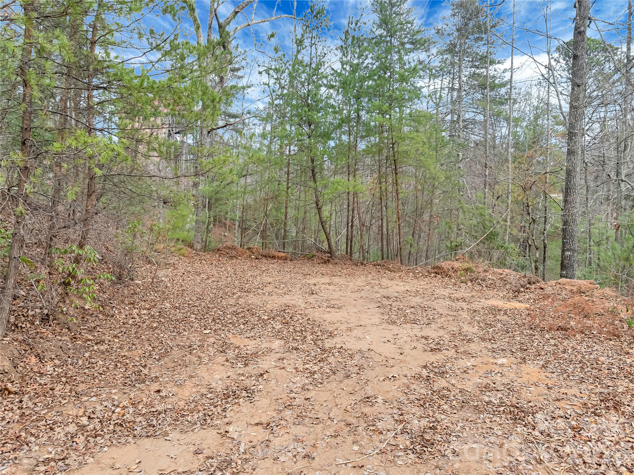 Tbd Deep Woods Lane 102 Property Photo 2