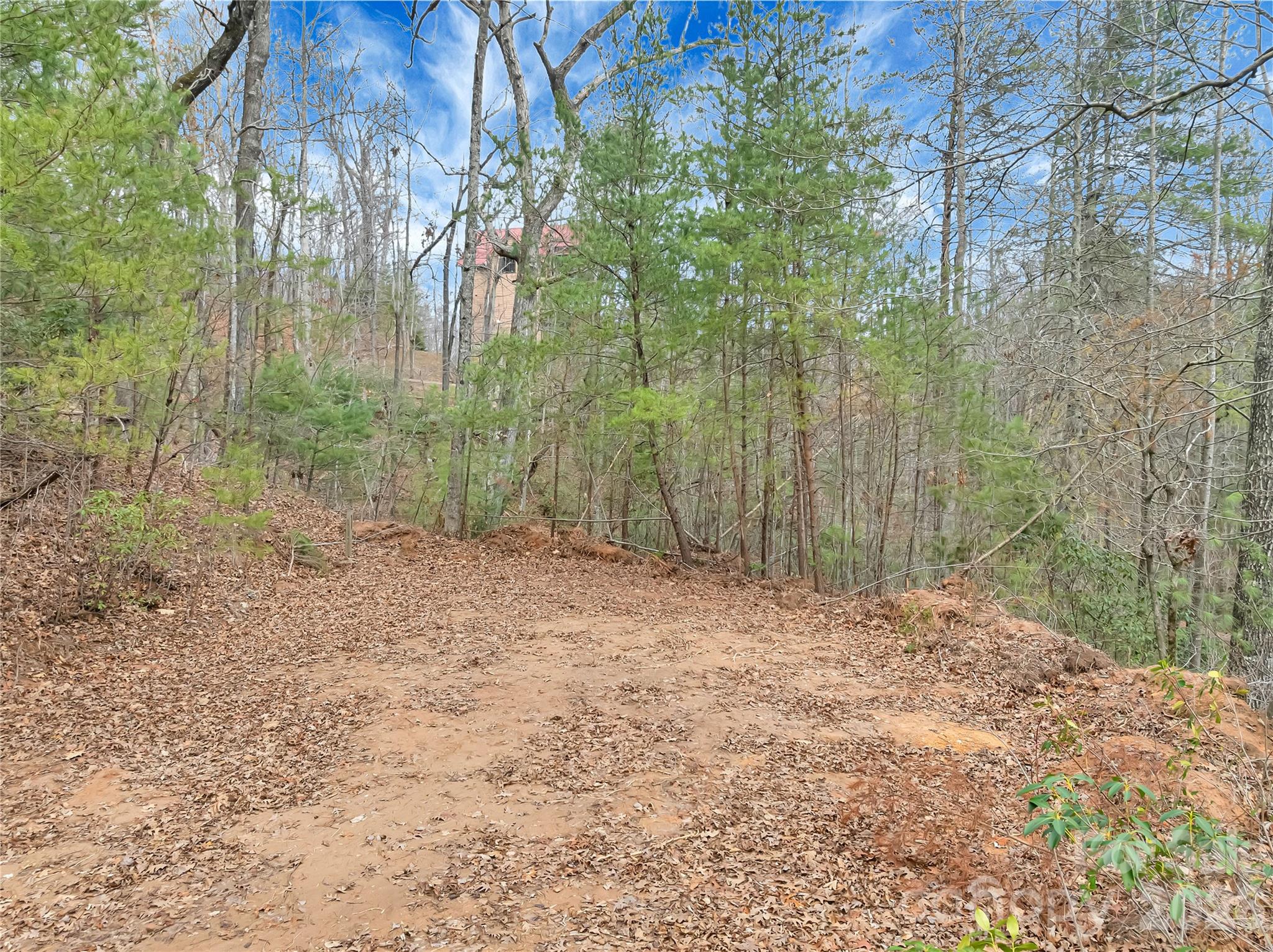 Tbd Deep Woods Lane 102 Property Photo 3