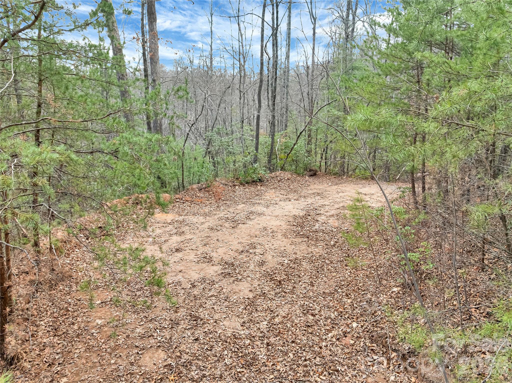 Tbd Deep Woods Lane 102 Property Photo 4