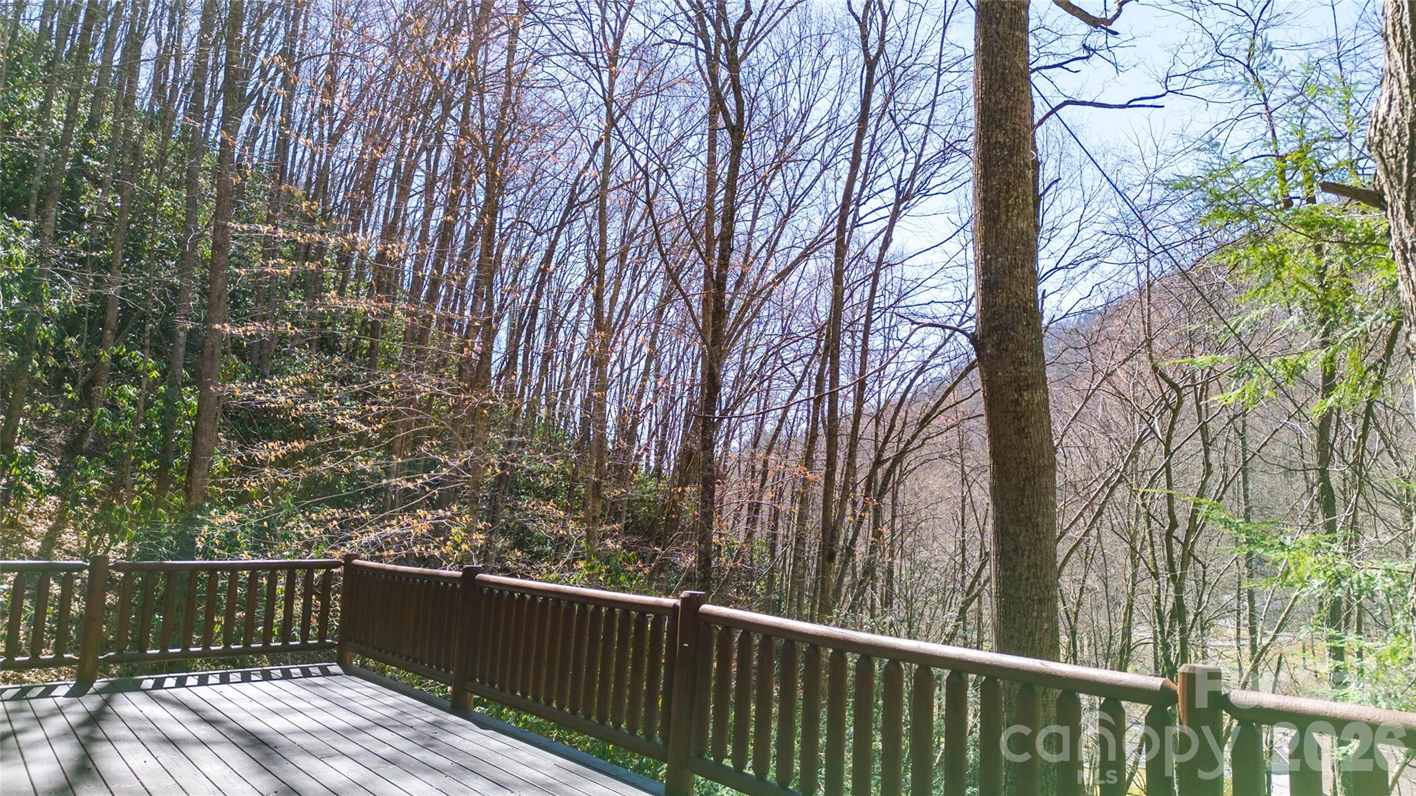 3548 Dicks Creek Road Property Photo 9