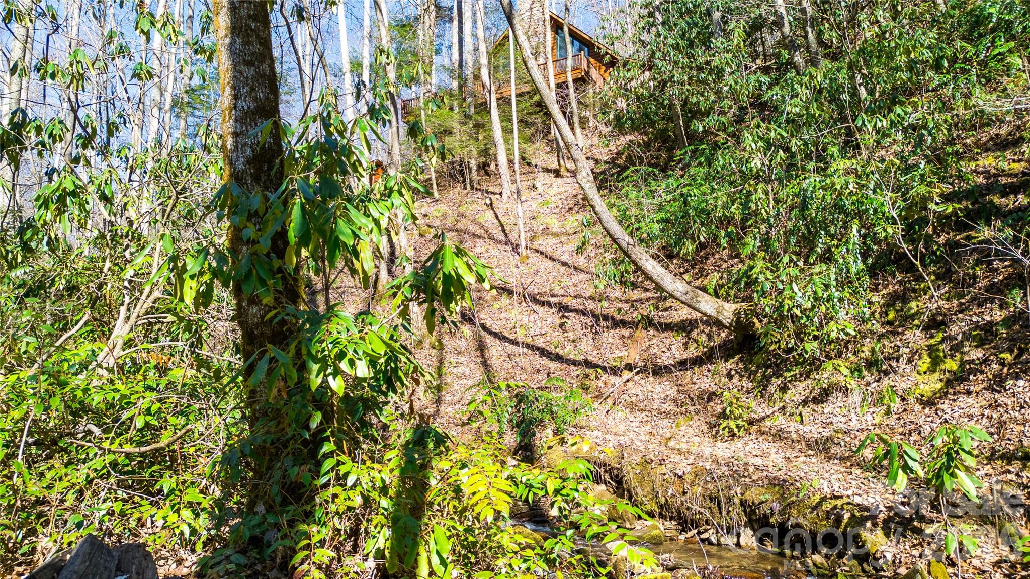 3548 Dicks Creek Road Property Photo 17