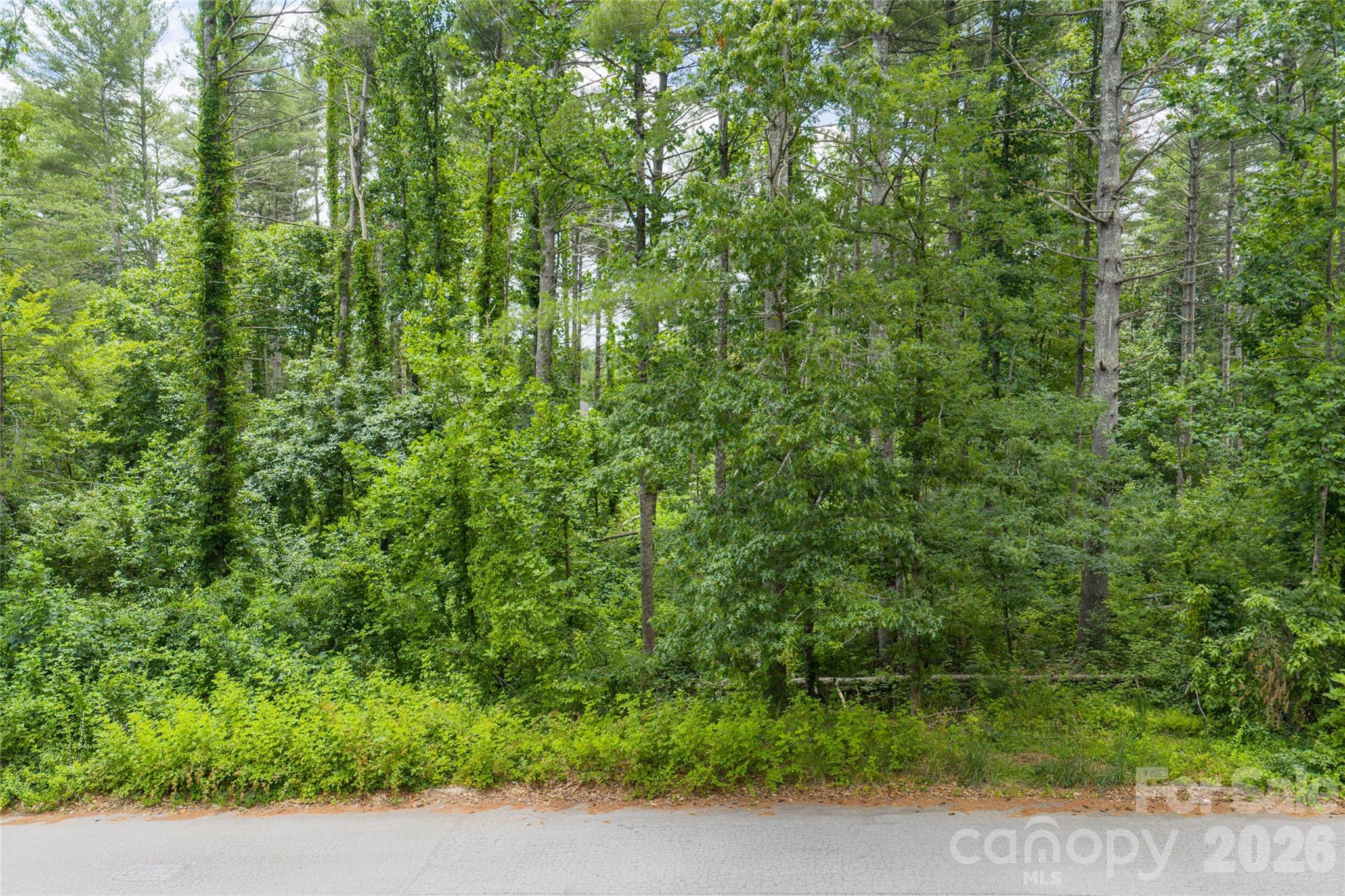 4 Dunnwoody Drive Property Photo 7