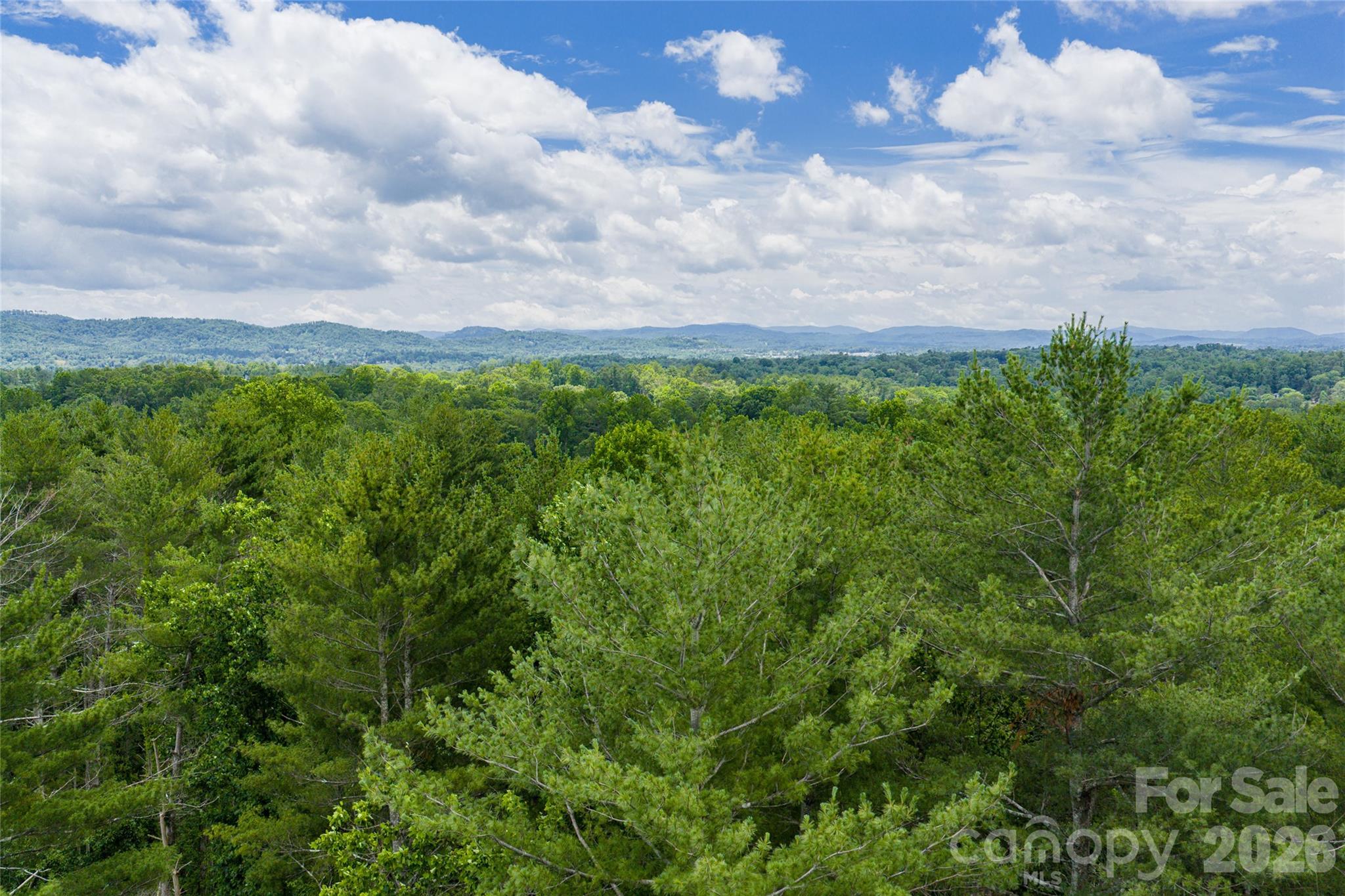 4 Dunnwoody Drive Property Photo 8