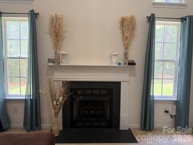 8053 Christmas Court Property Photo 19