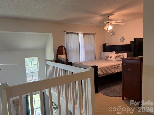 8053 Christmas Court Property Photo 21