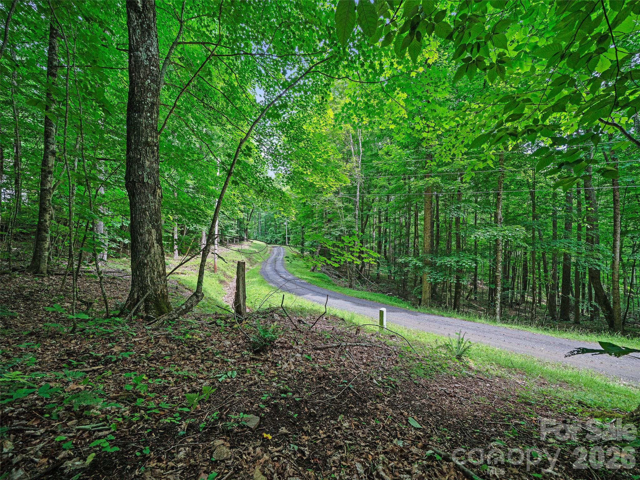 000 Shadow Moss Drive 8B Property Photo 1