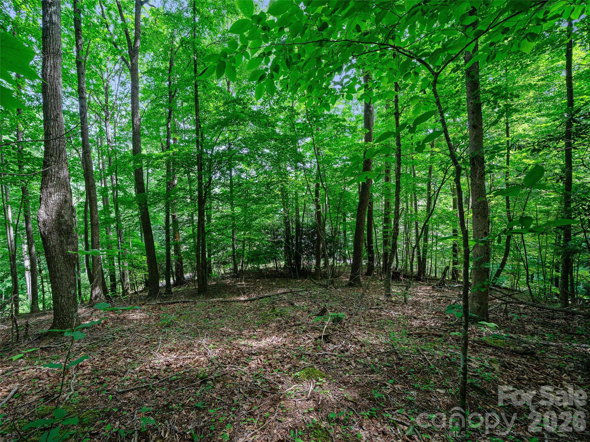 000 Shadow Moss Drive 8b Property Photo 6