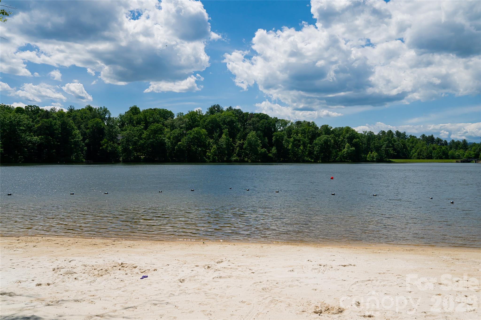 1116 Perch Fly Court Property Photo 44