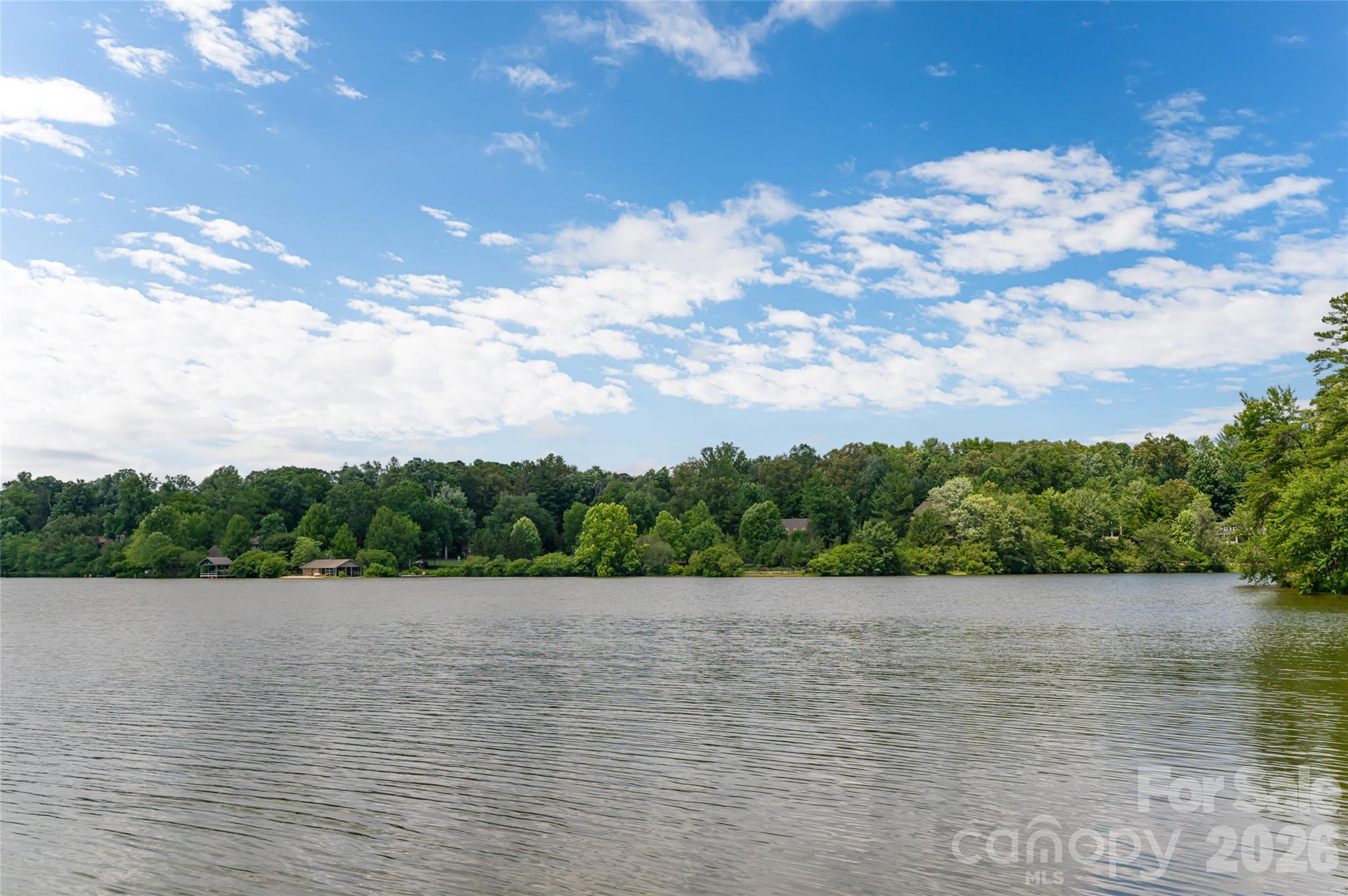 1116 Perch Fly Court Property Photo 47