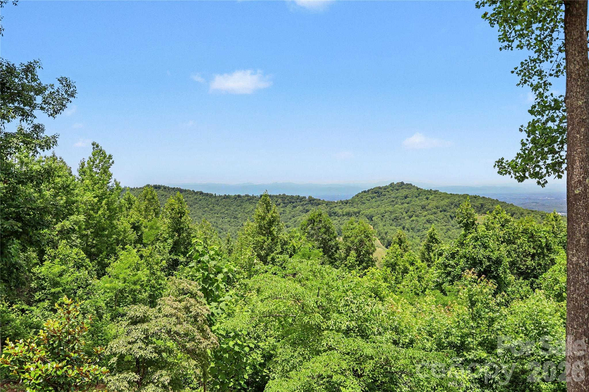 3526 Dogwood Lane Property Photo 29