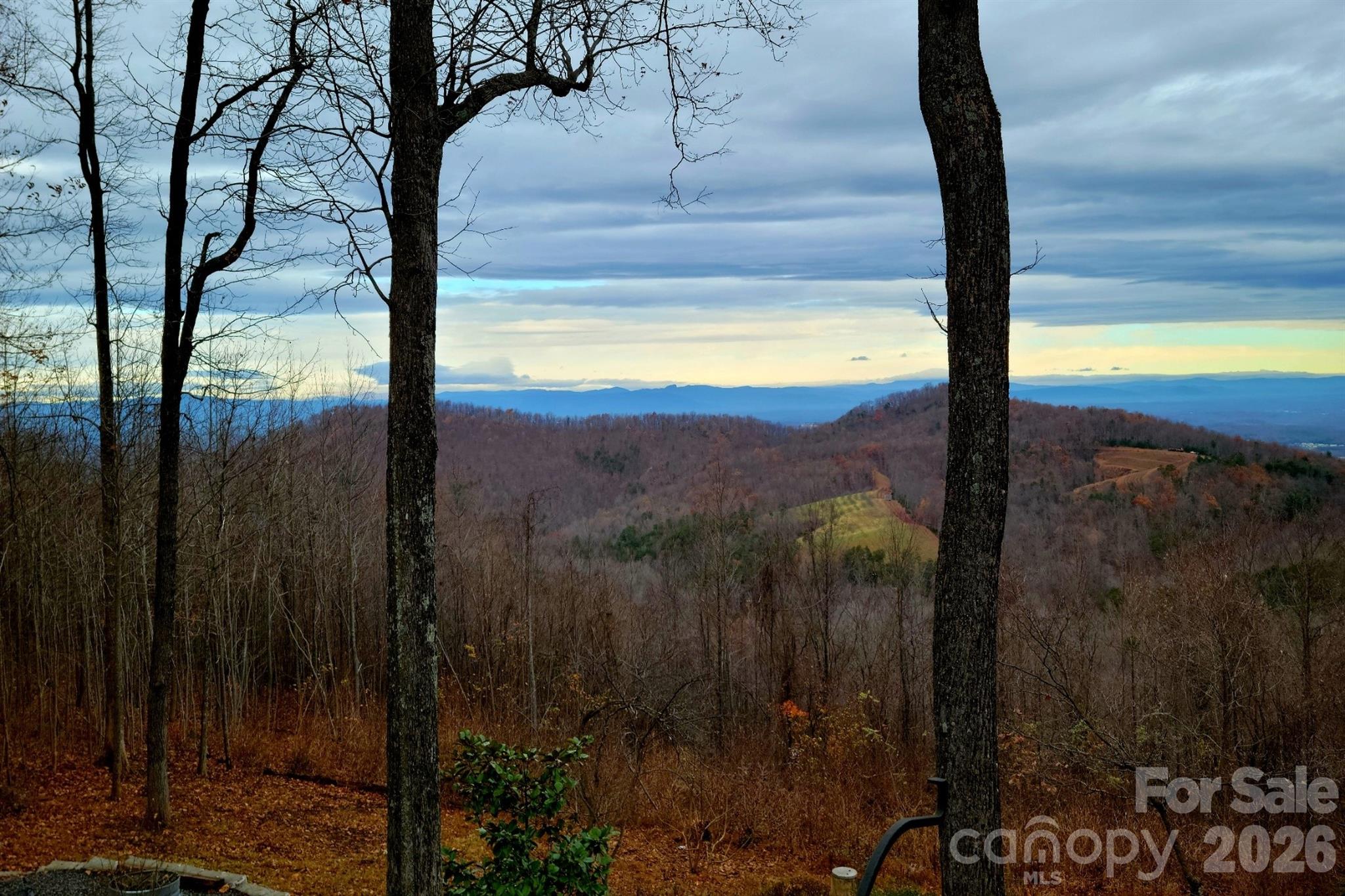3526 Dogwood Lane Property Photo 44