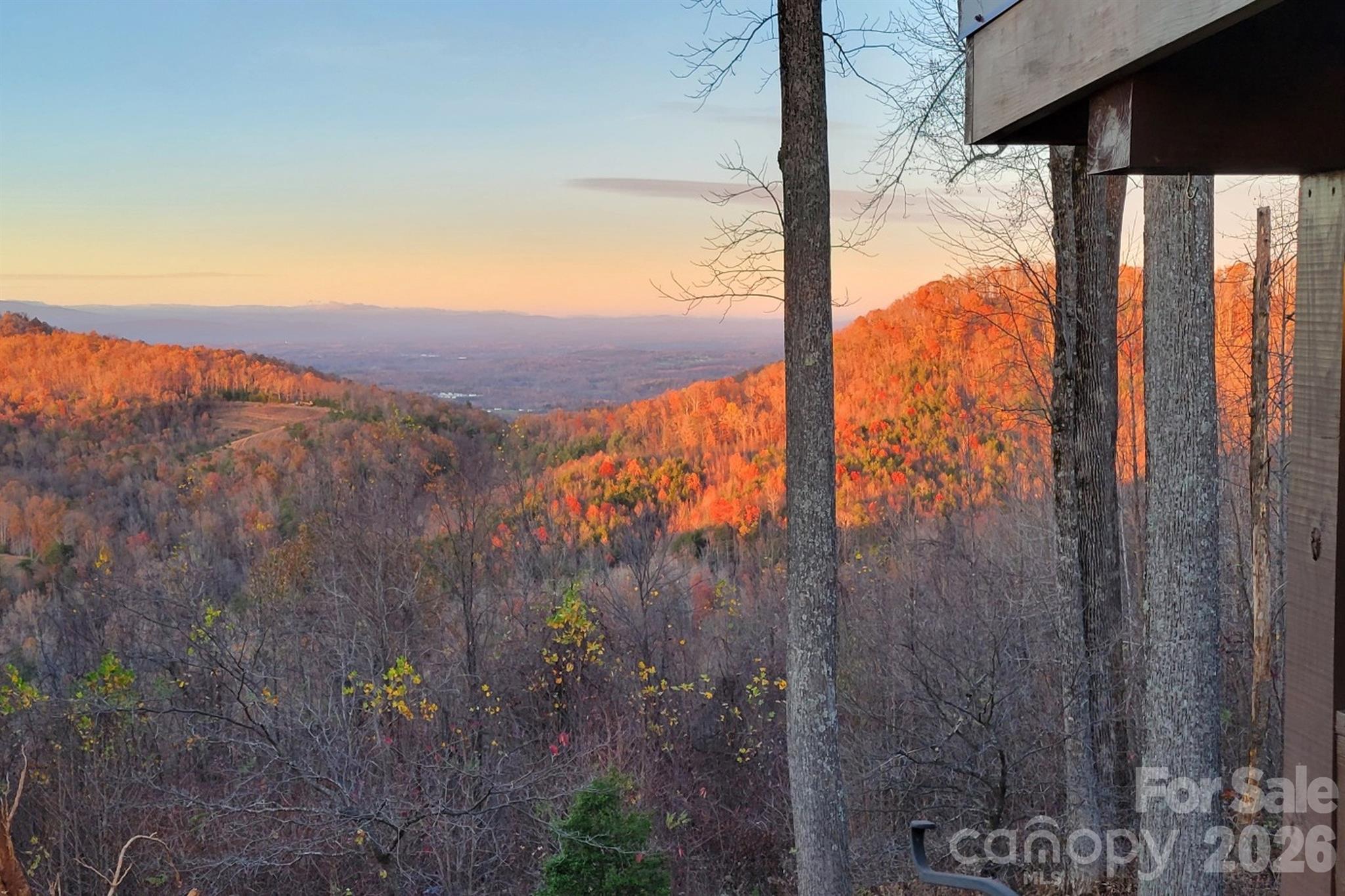 3526 Dogwood Lane Property Photo 45