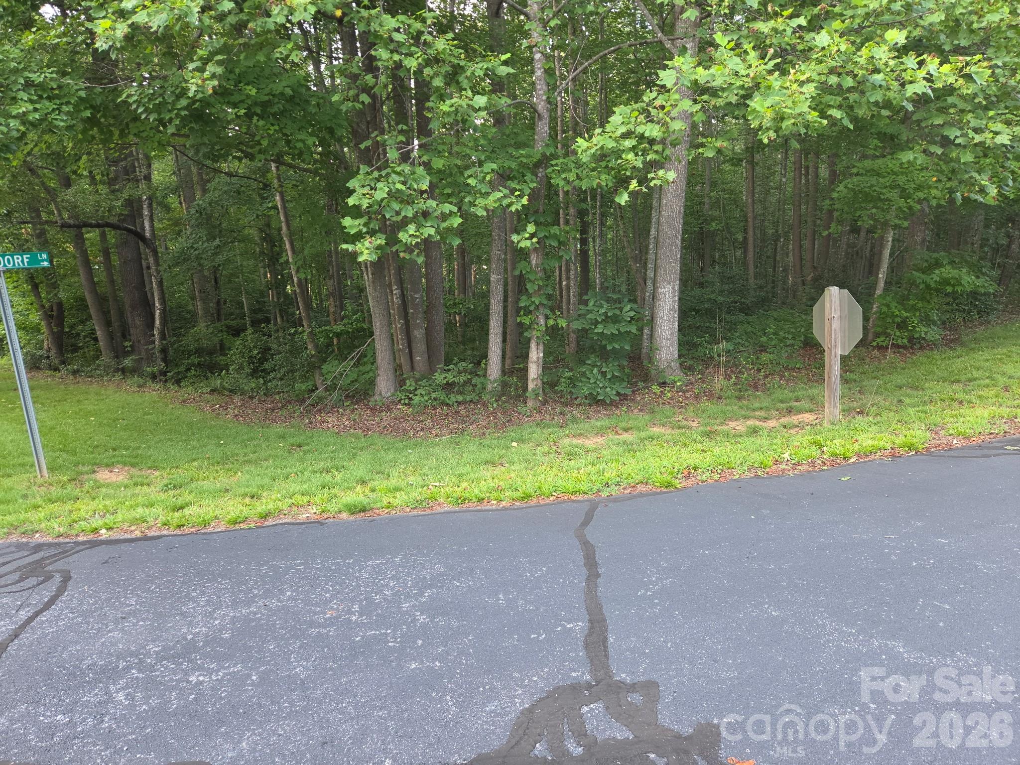 Tbd W Meadow Parkway Property Photo 3