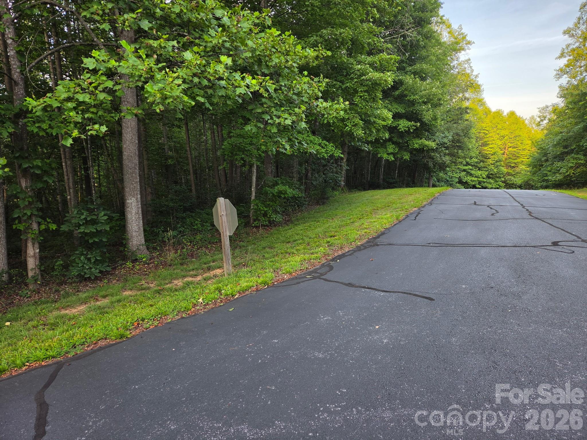 Tbd W Meadow Parkway Property Photo 4