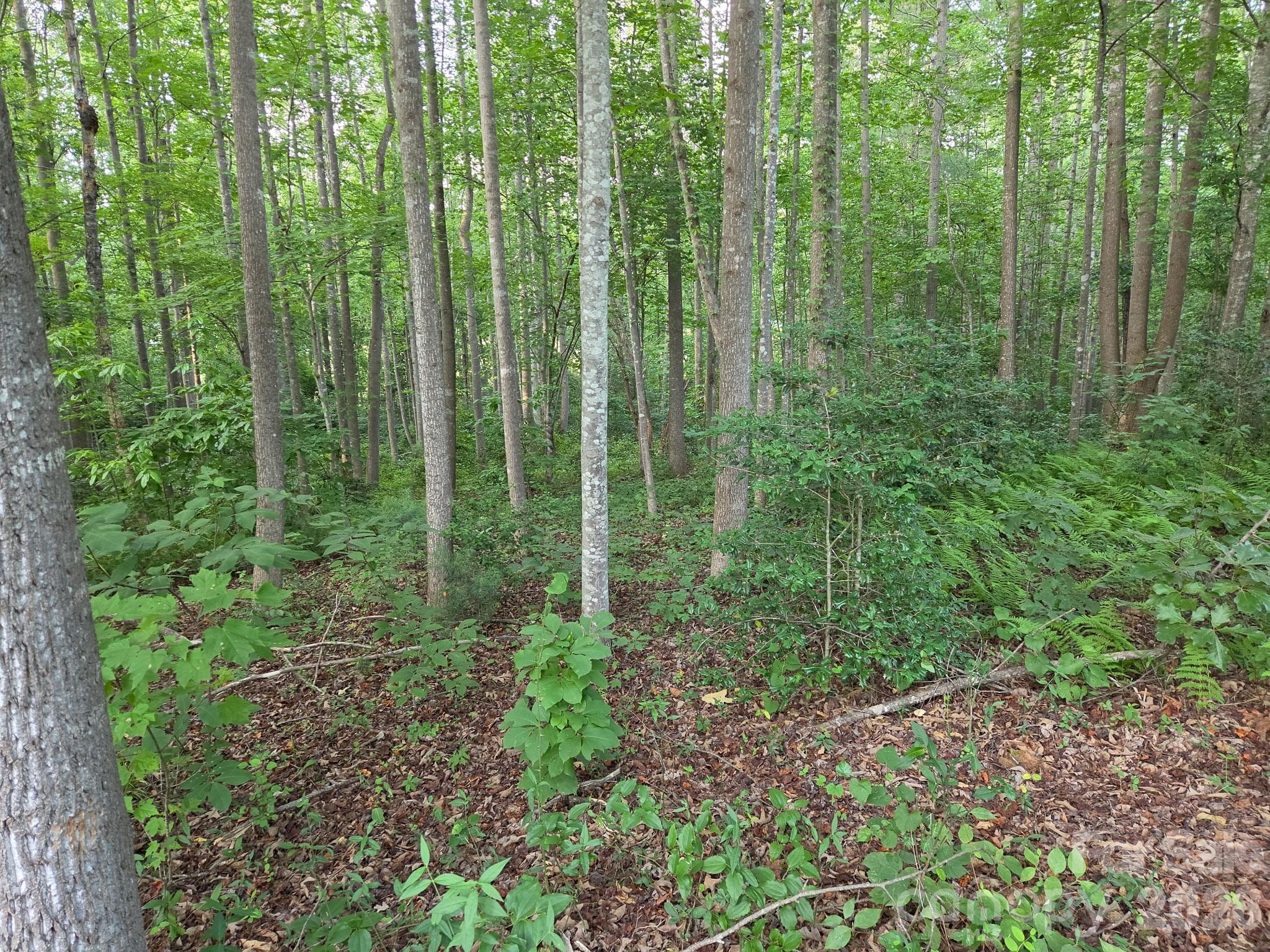 Tbd W Meadow Parkway Property Photo 5