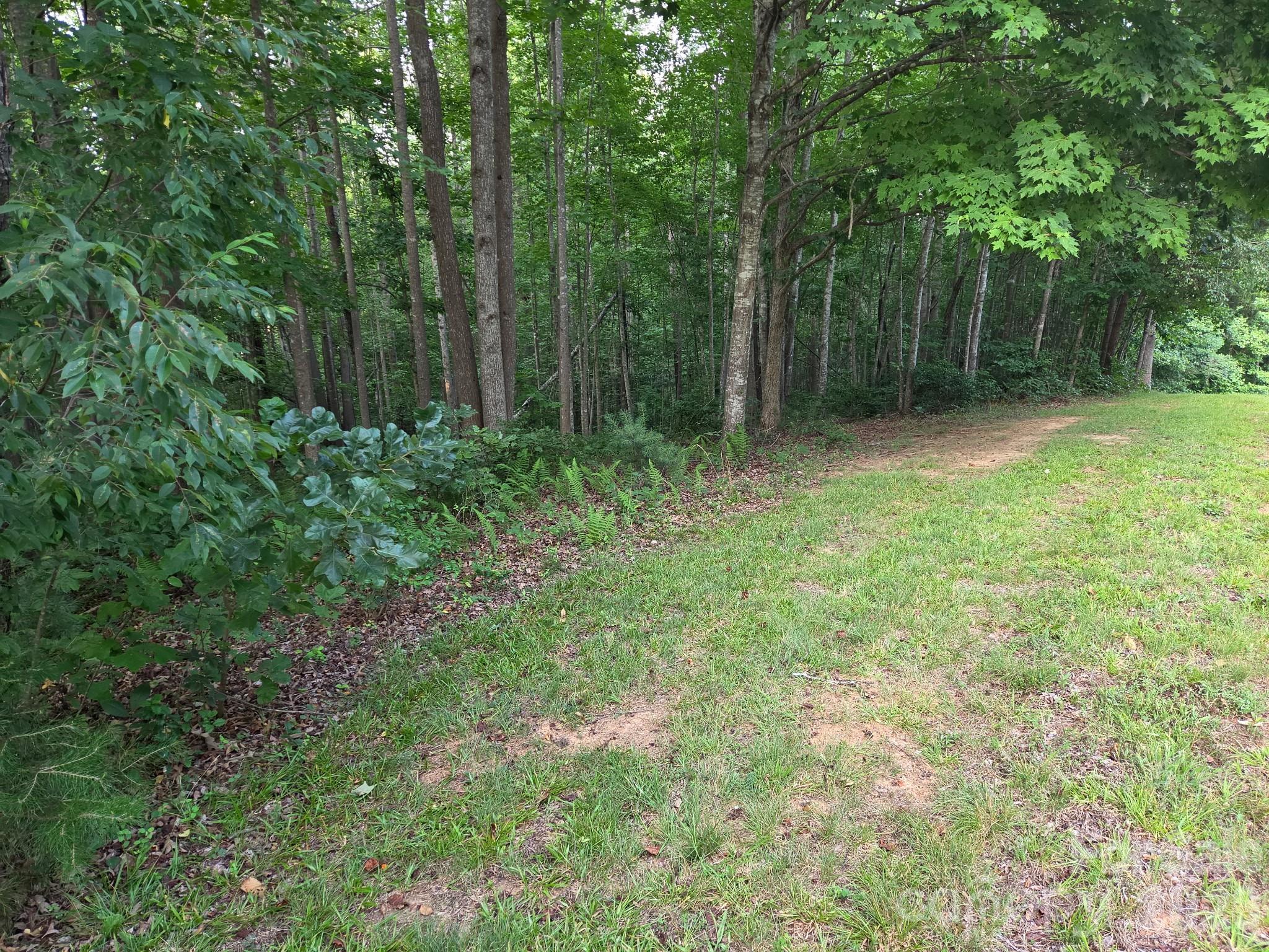 Tbd W Meadow Parkway Property Photo 6