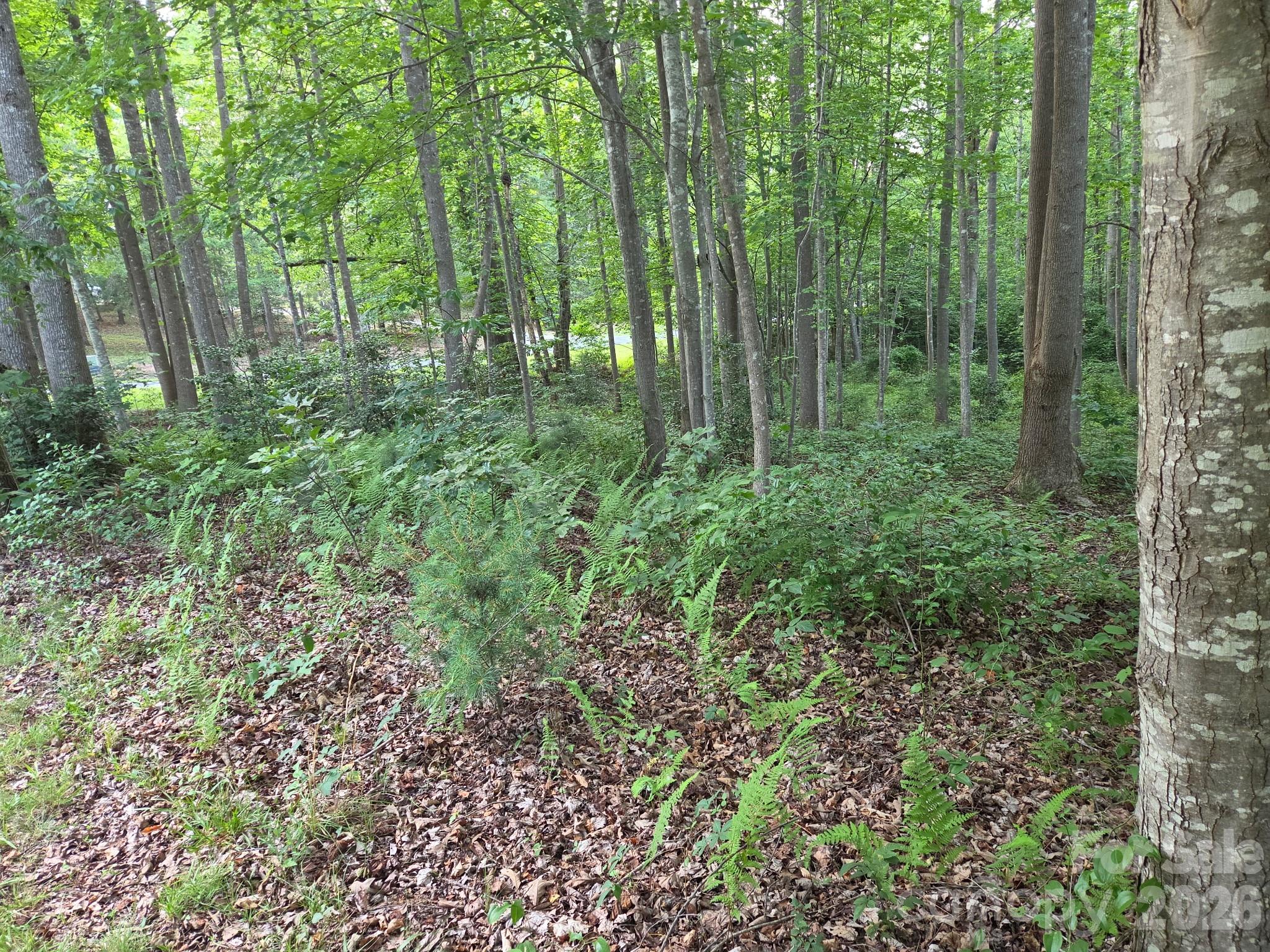 Tbd W Meadow Parkway Property Photo 7