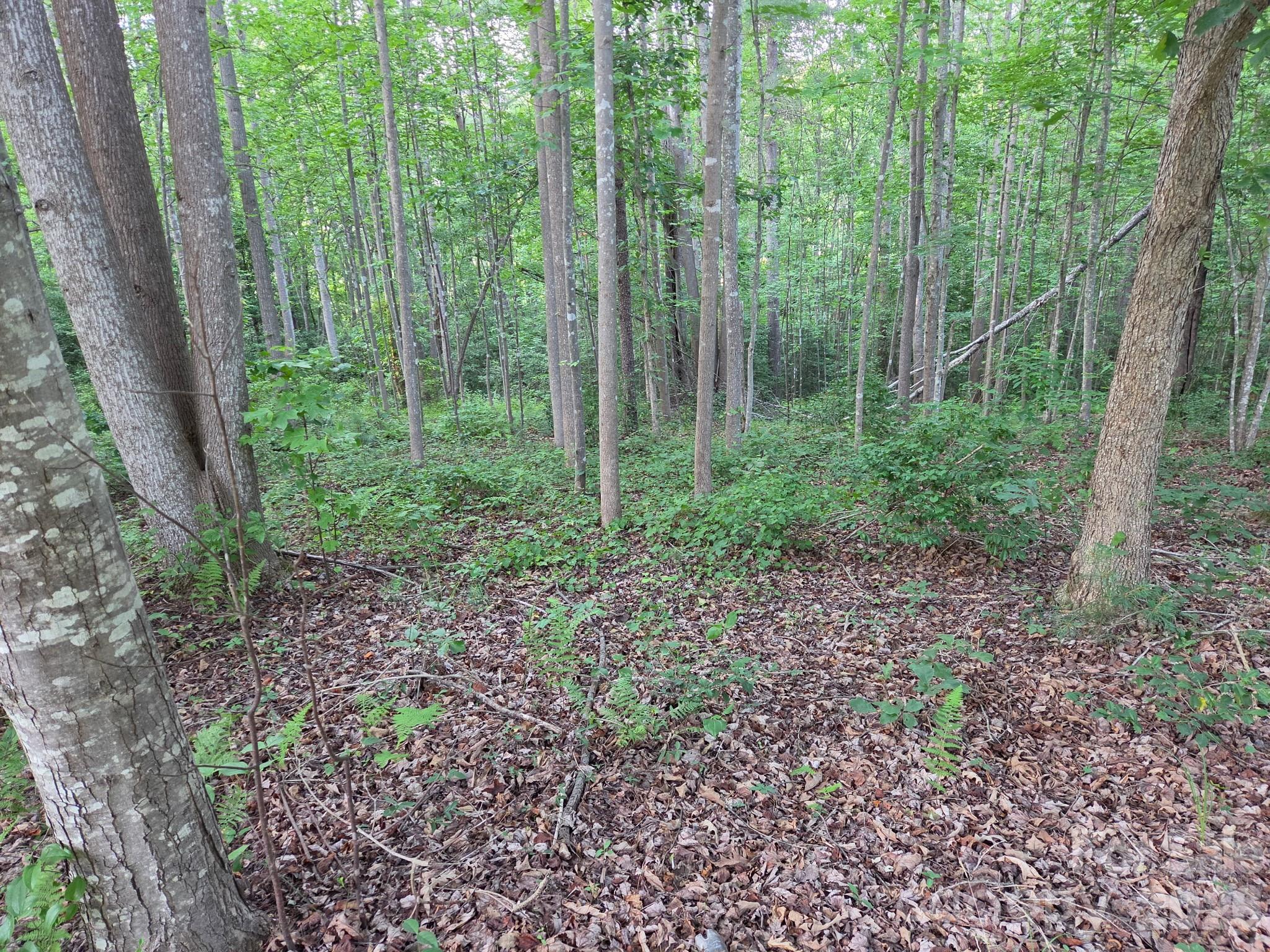 Tbd W Meadow Parkway Property Photo 8