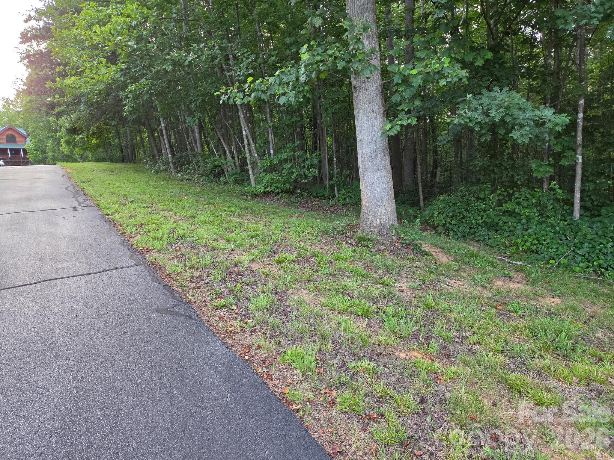Tbd W Meadow Parkway Property Photo 9
