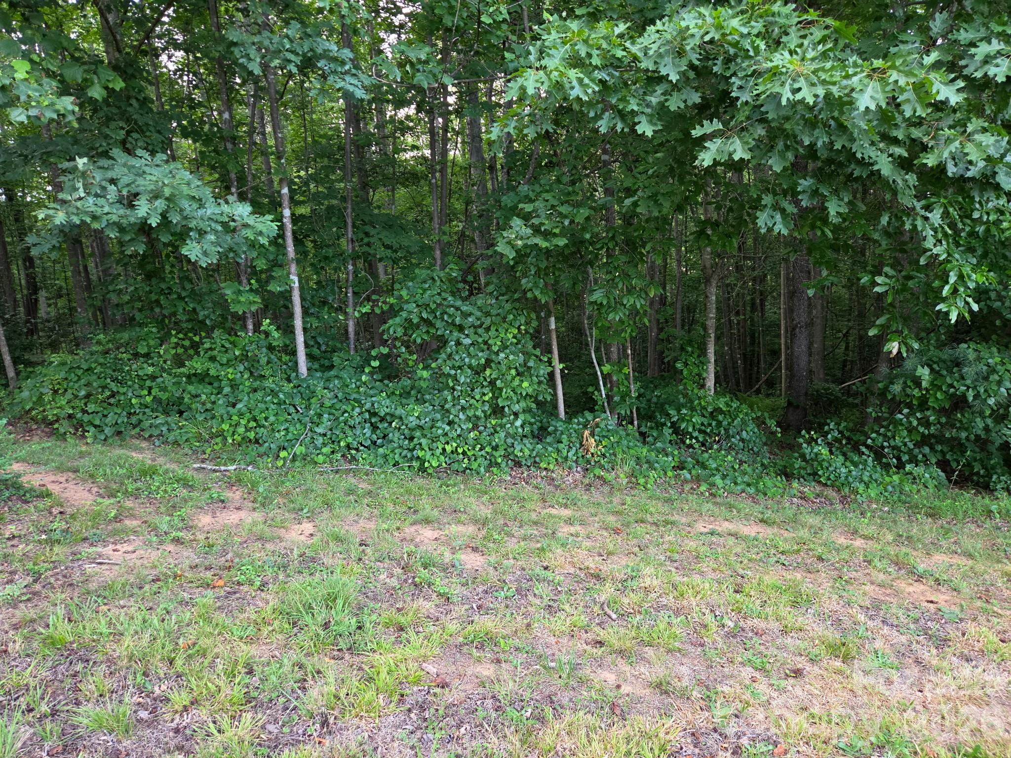 Tbd W Meadow Parkway Property Photo 10