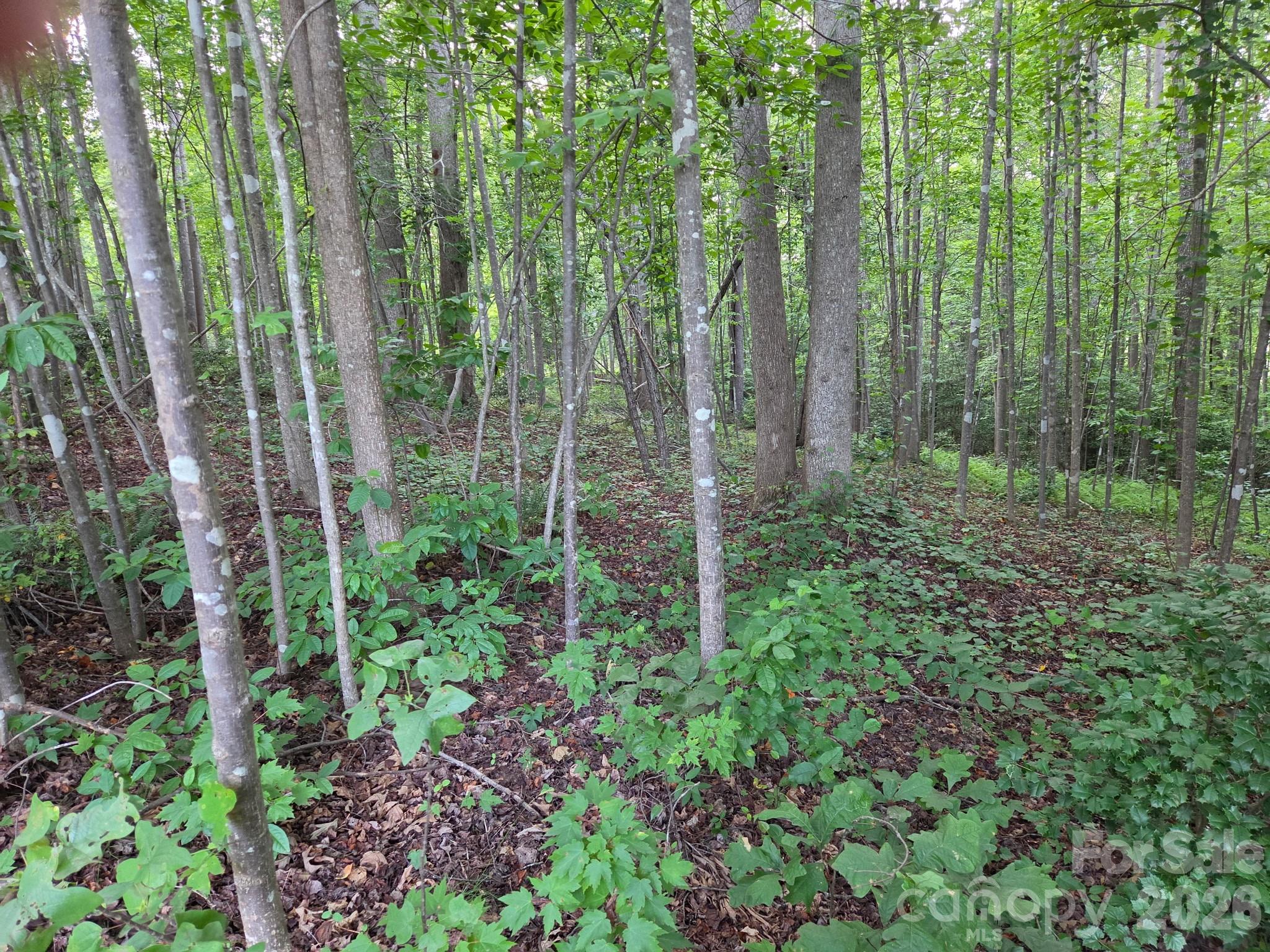 Tbd W Meadow Parkway Property Photo 11