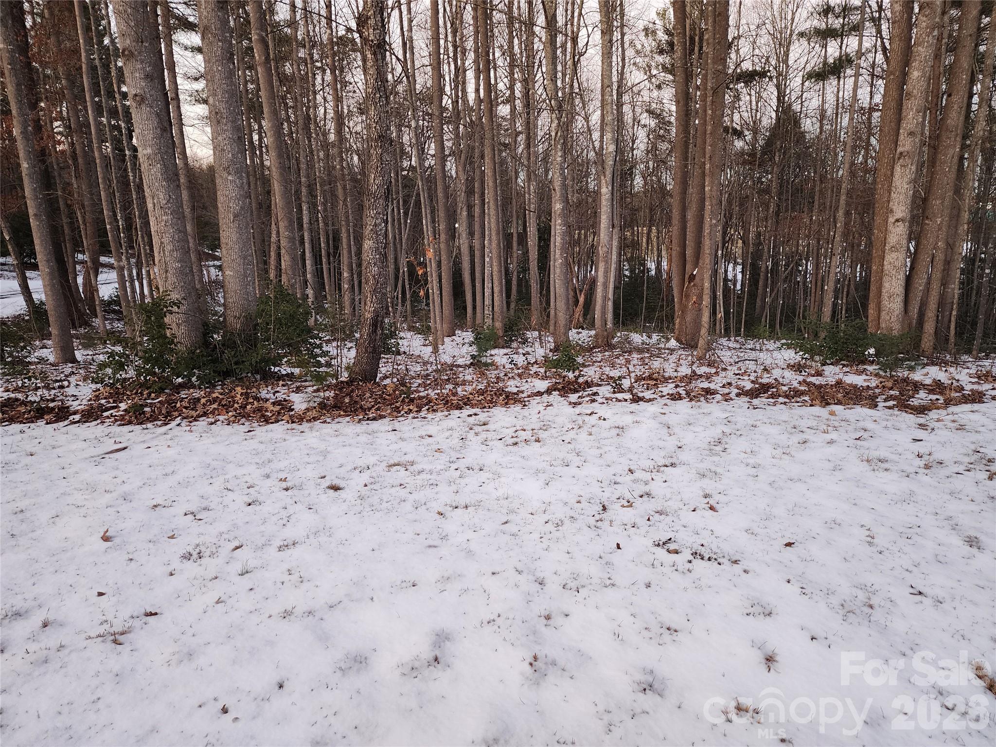 Tbd W Meadow Parkway Property Photo 14