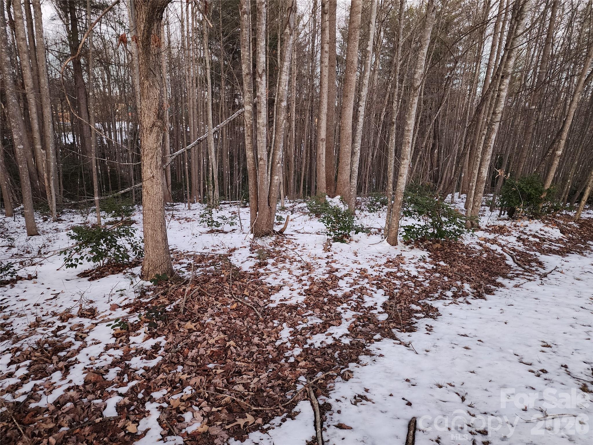 Tbd W Meadow Parkway Property Photo 17