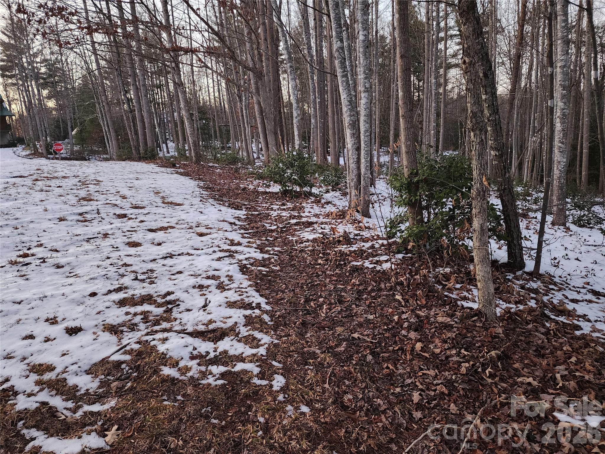 Tbd W Meadow Parkway Property Photo 18